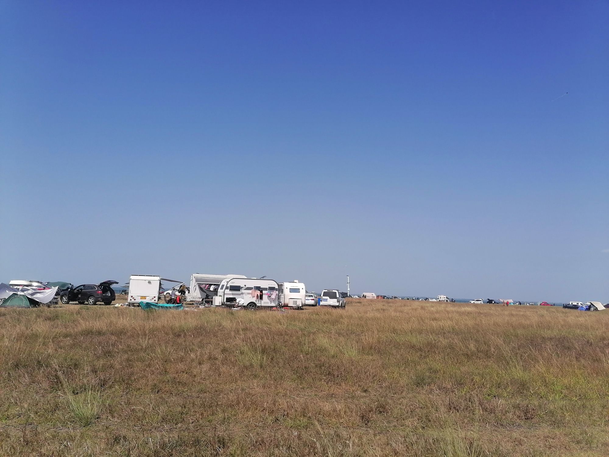高德花海公园旅行图片 1