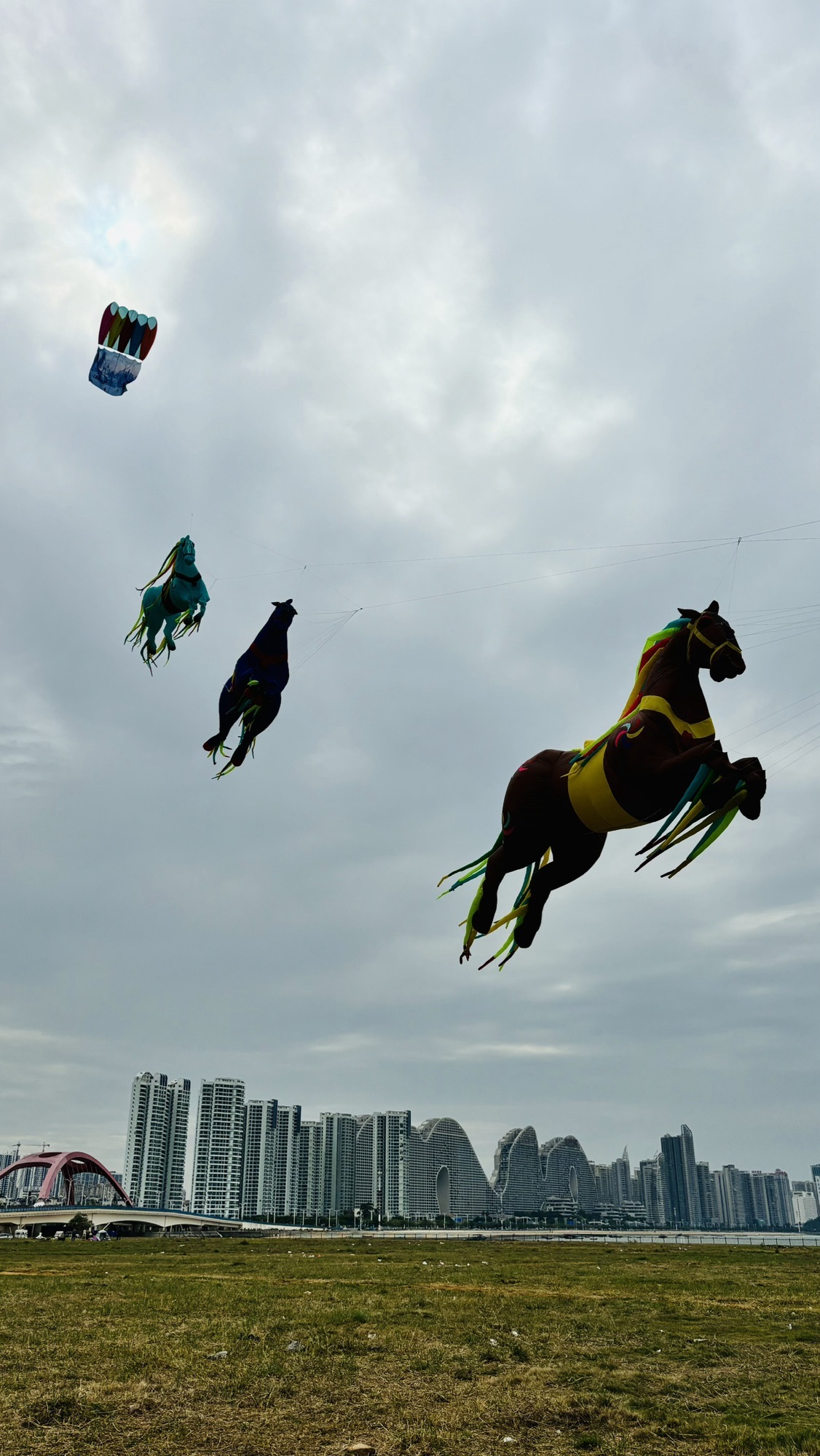 高德花海公园旅行图片 2