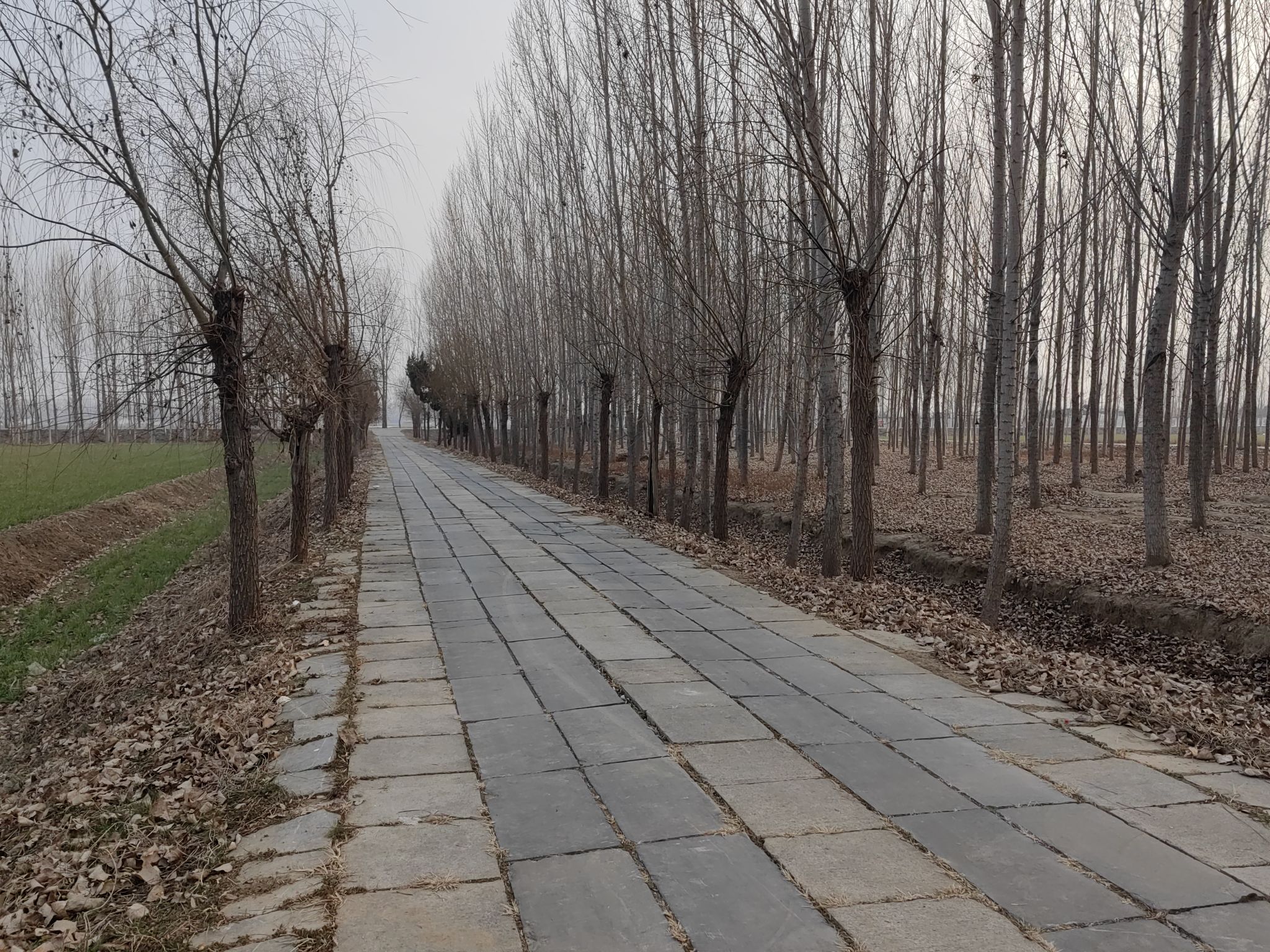 蚩尤冢旅行图片 2