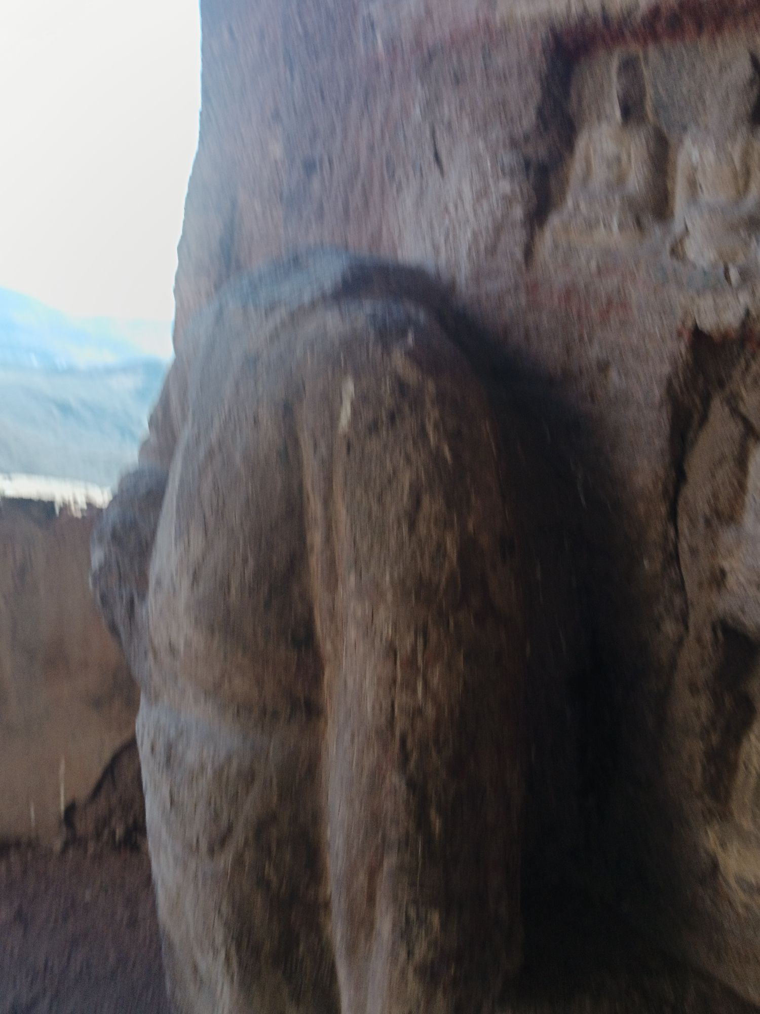 朝阳观旅行图片 2