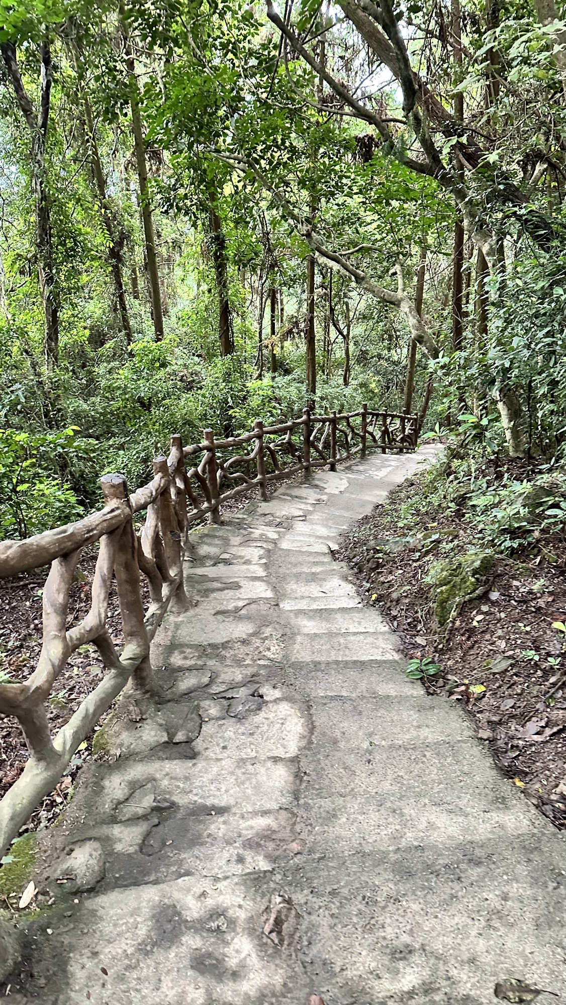 闽侯观音岩寺旅行图片 2