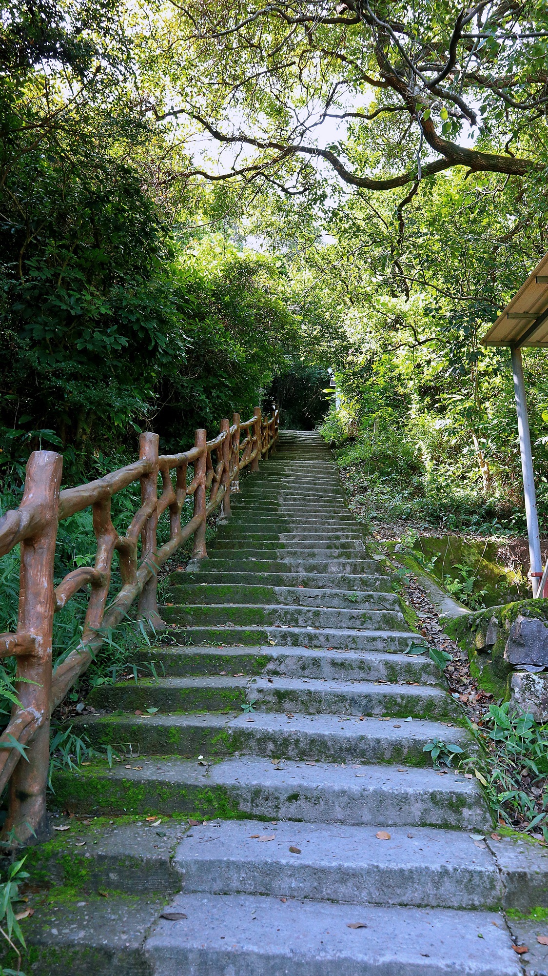 闽侯观音岩寺旅行图片 2