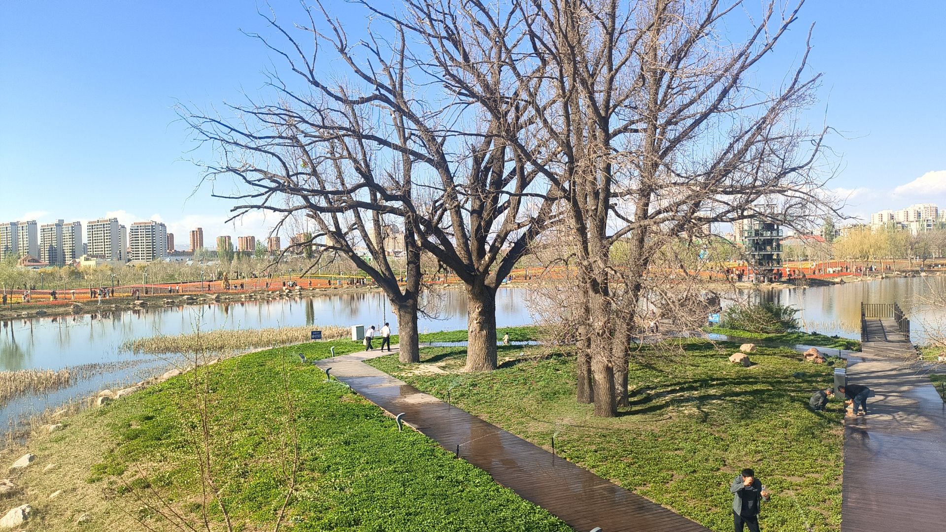 苹果公园