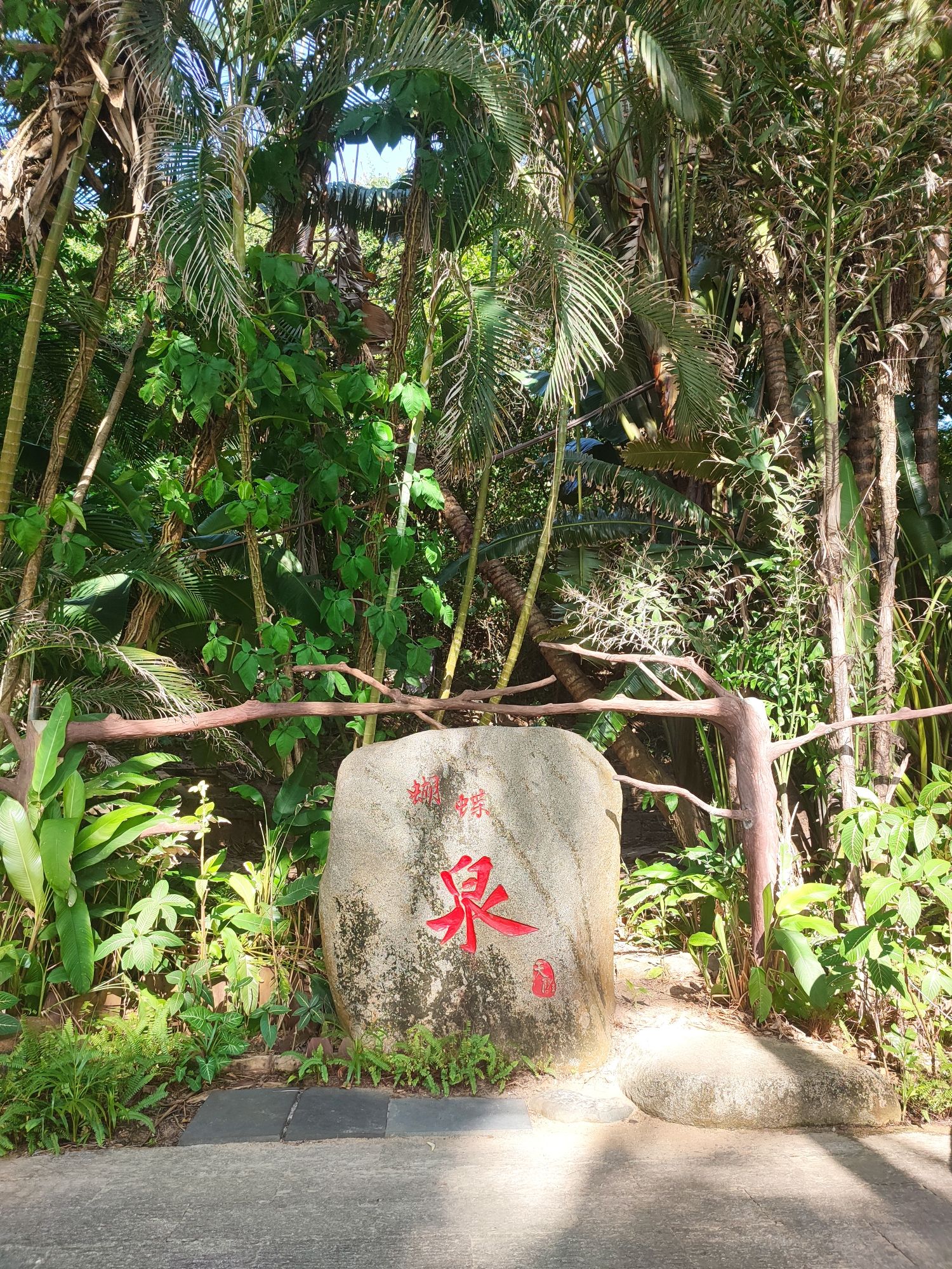 天涯海角游览区-蝴蝶泉