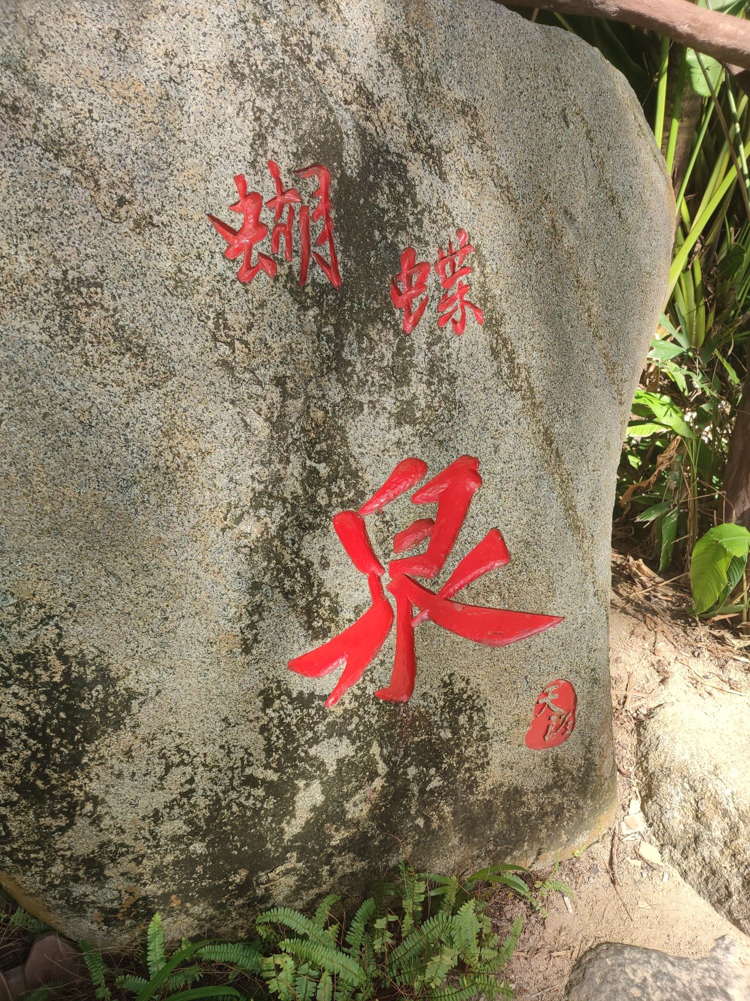 天涯海角游览区-蝴蝶泉