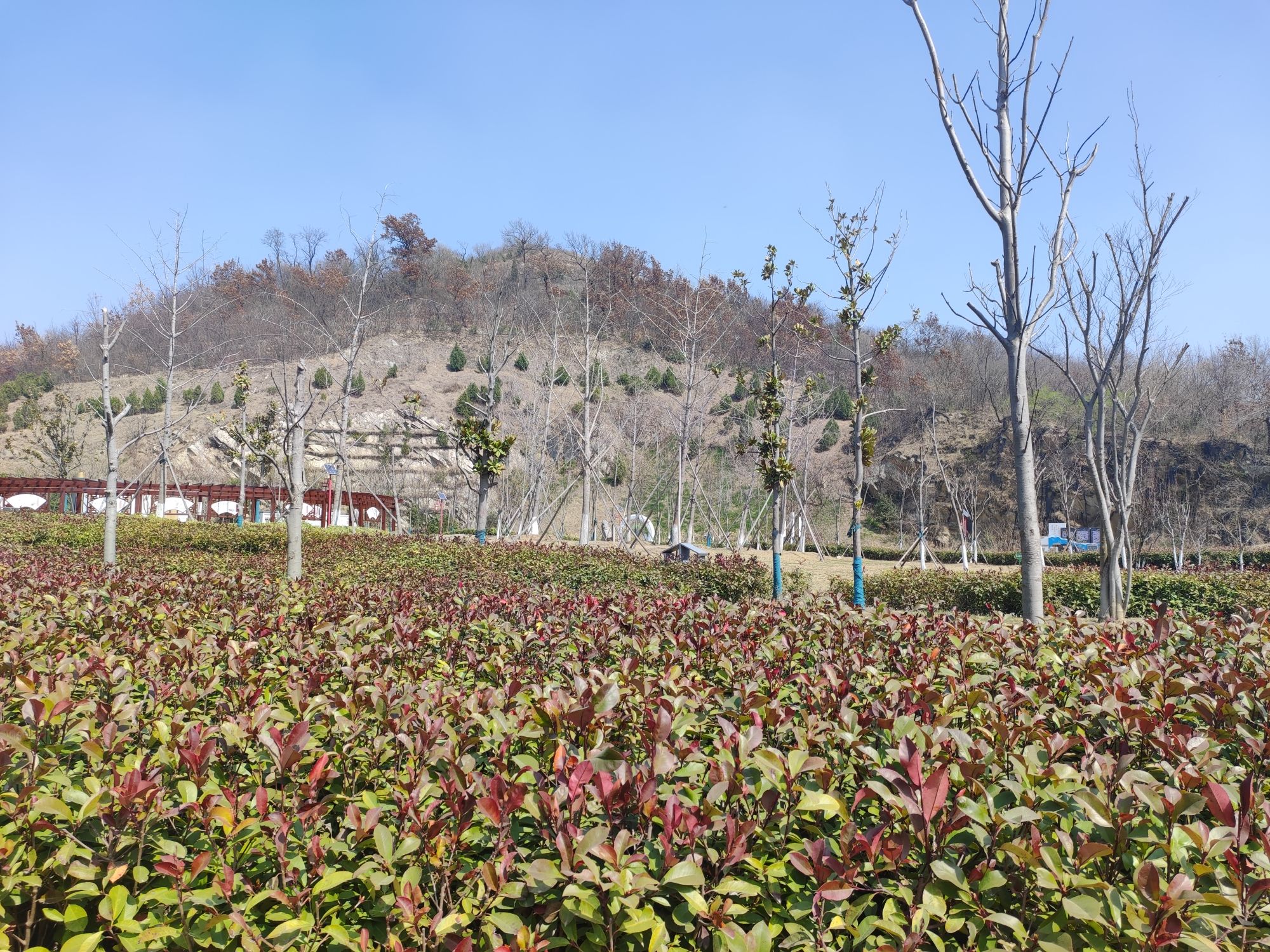 凤凰山公园旅行图片 3