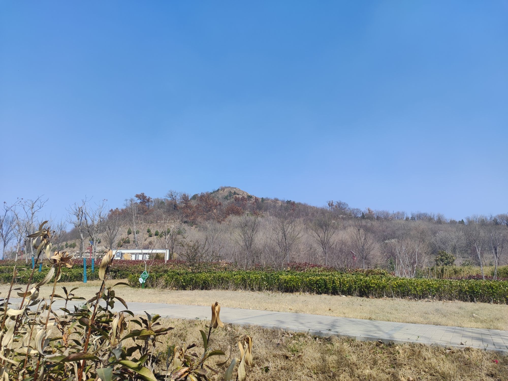 凤凰山公园旅行图片 1