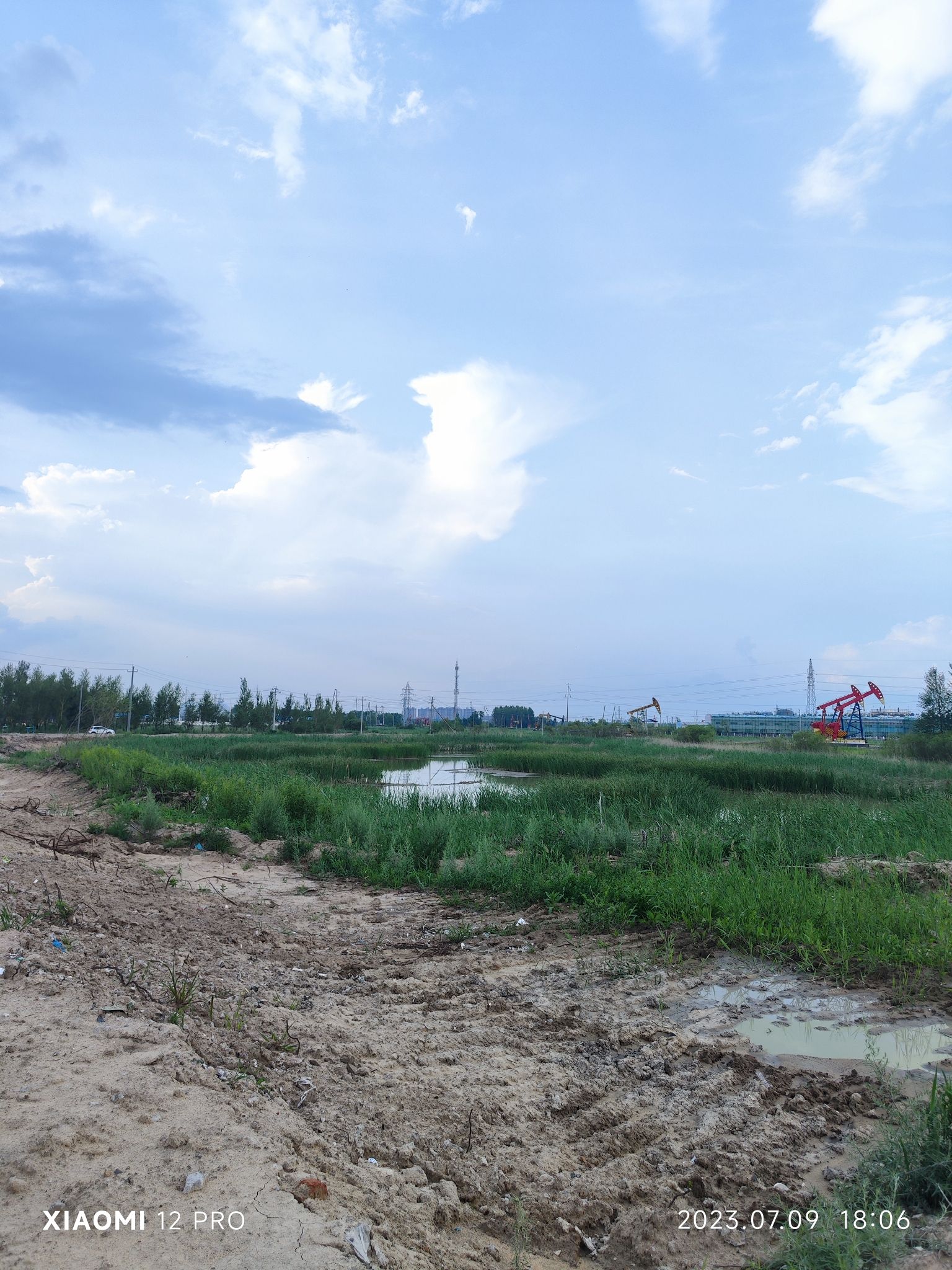 鲨鱼湖旅行图片 2