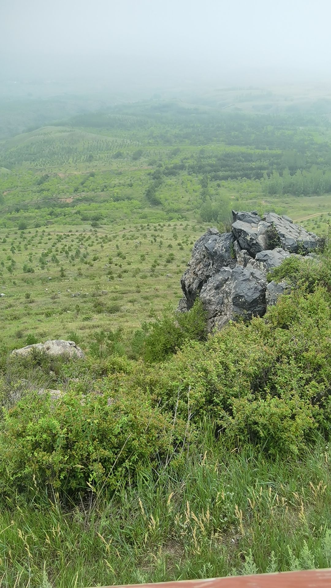 张北天保那苏图草原旅游度假区(暂停开放)旅行图片 2