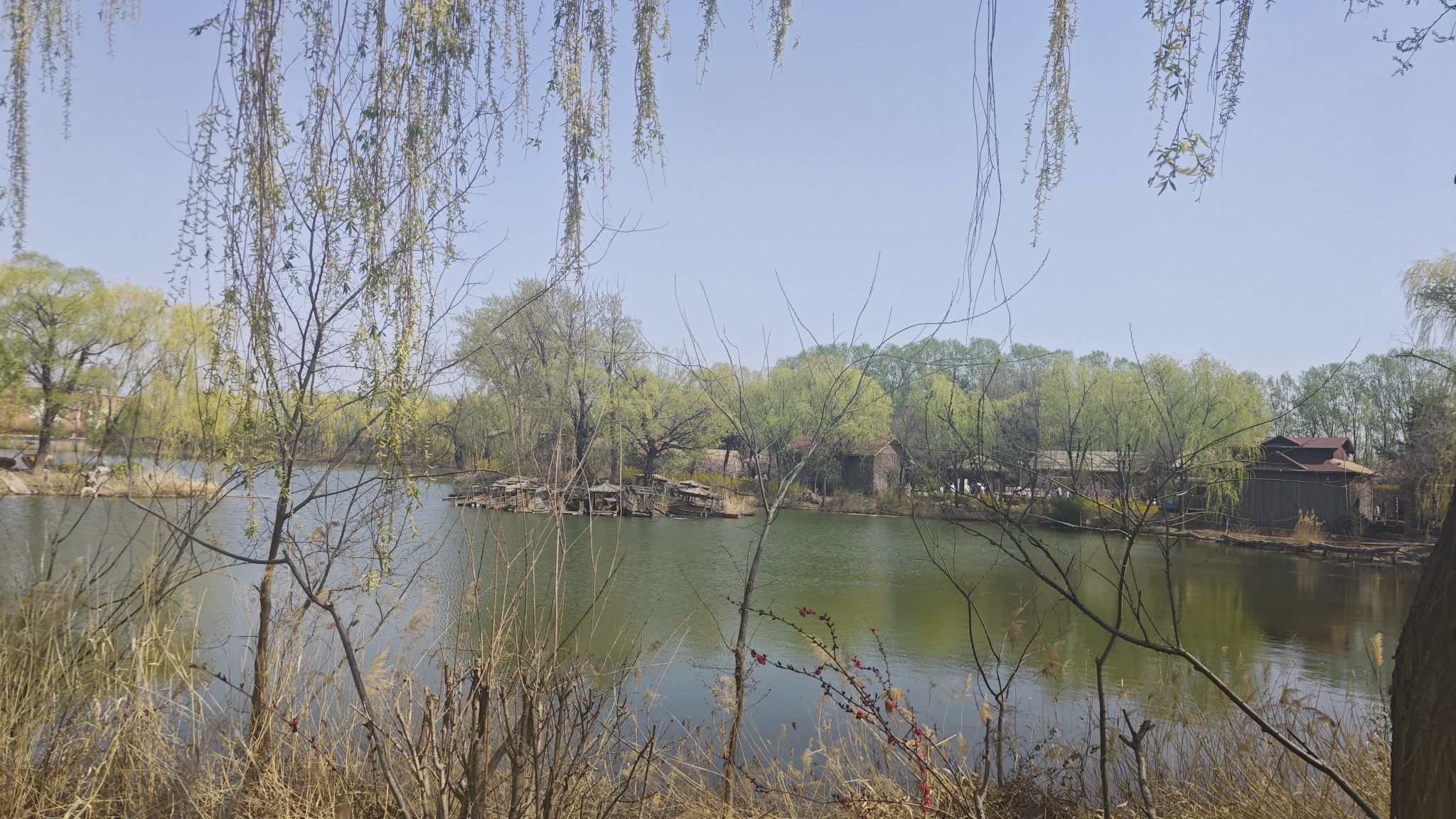 岱北文化广场旅行图片 2