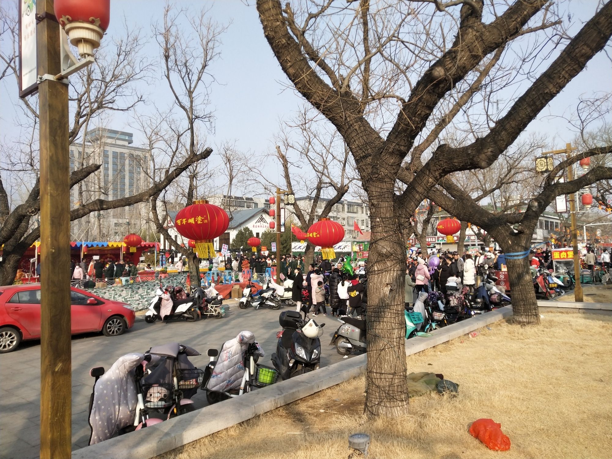 岱北文化广场旅行图片 3