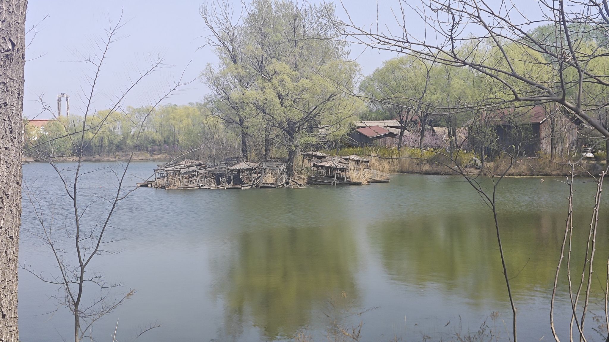 岱北文化广场旅行图片 1