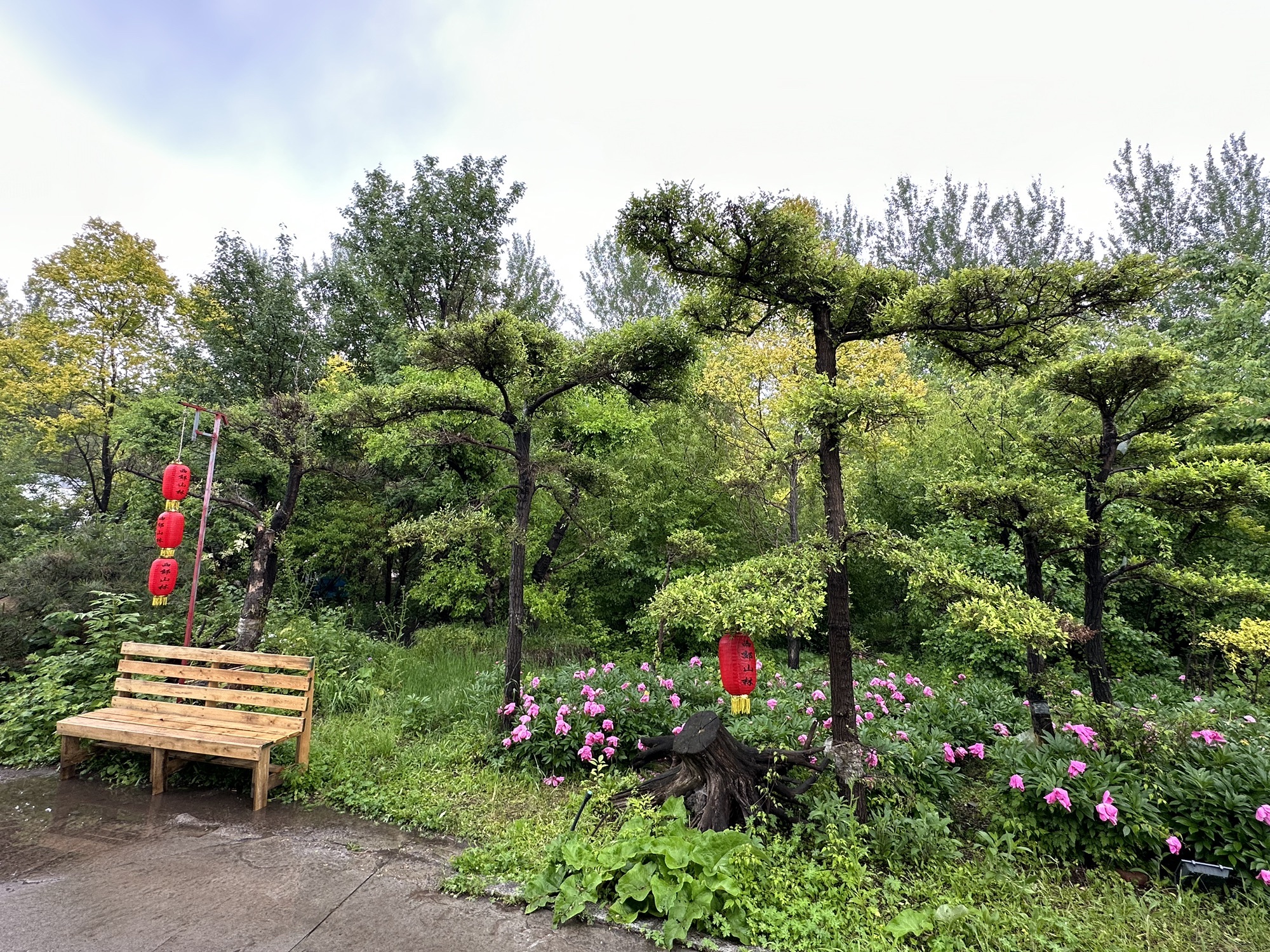 西郊山林休闲养生度假公园旅行图片 2