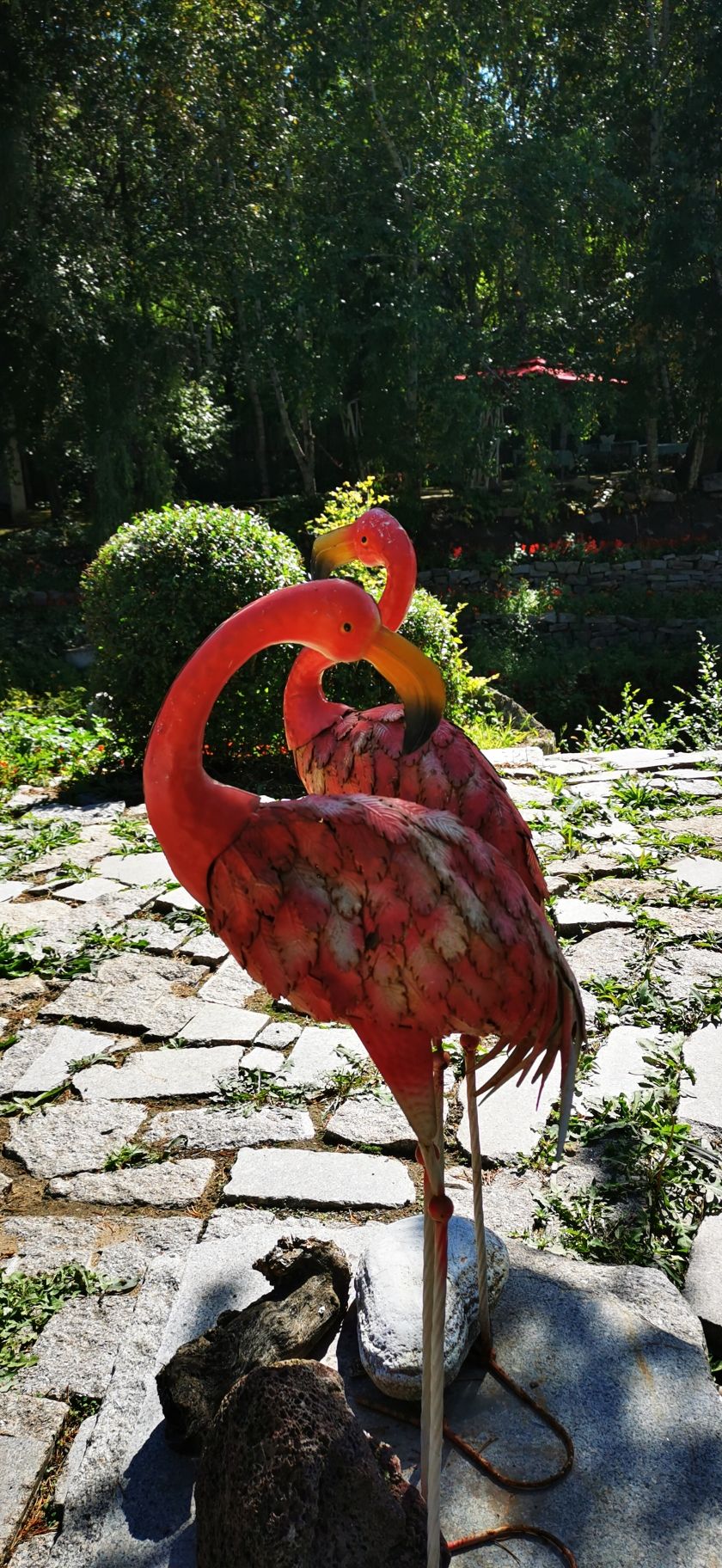 西郊山林休闲养生度假公园旅行图片 2