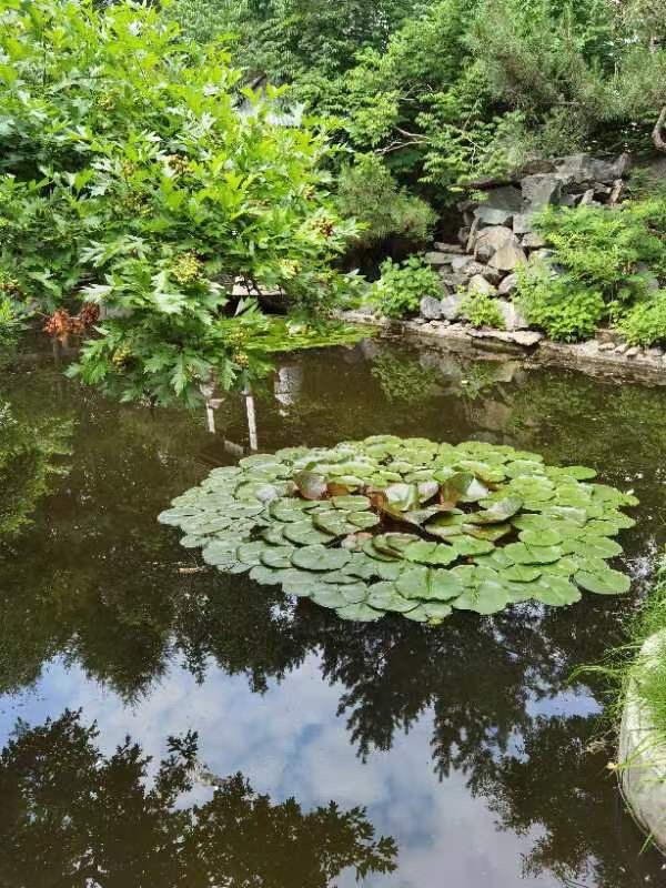 西郊山林休闲养生度假公园旅行图片 2