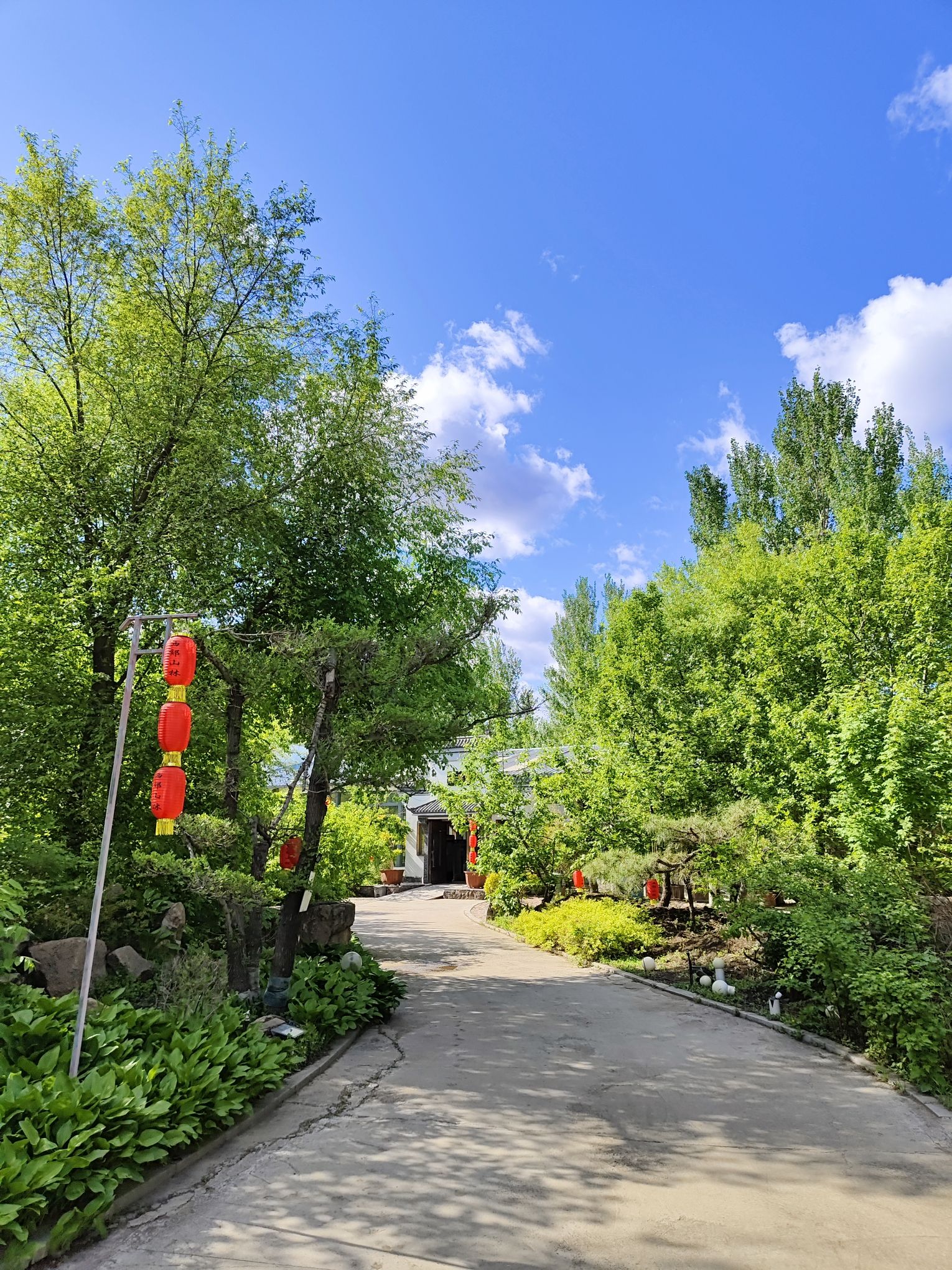西郊山林休闲养生度假公园旅行图片 1