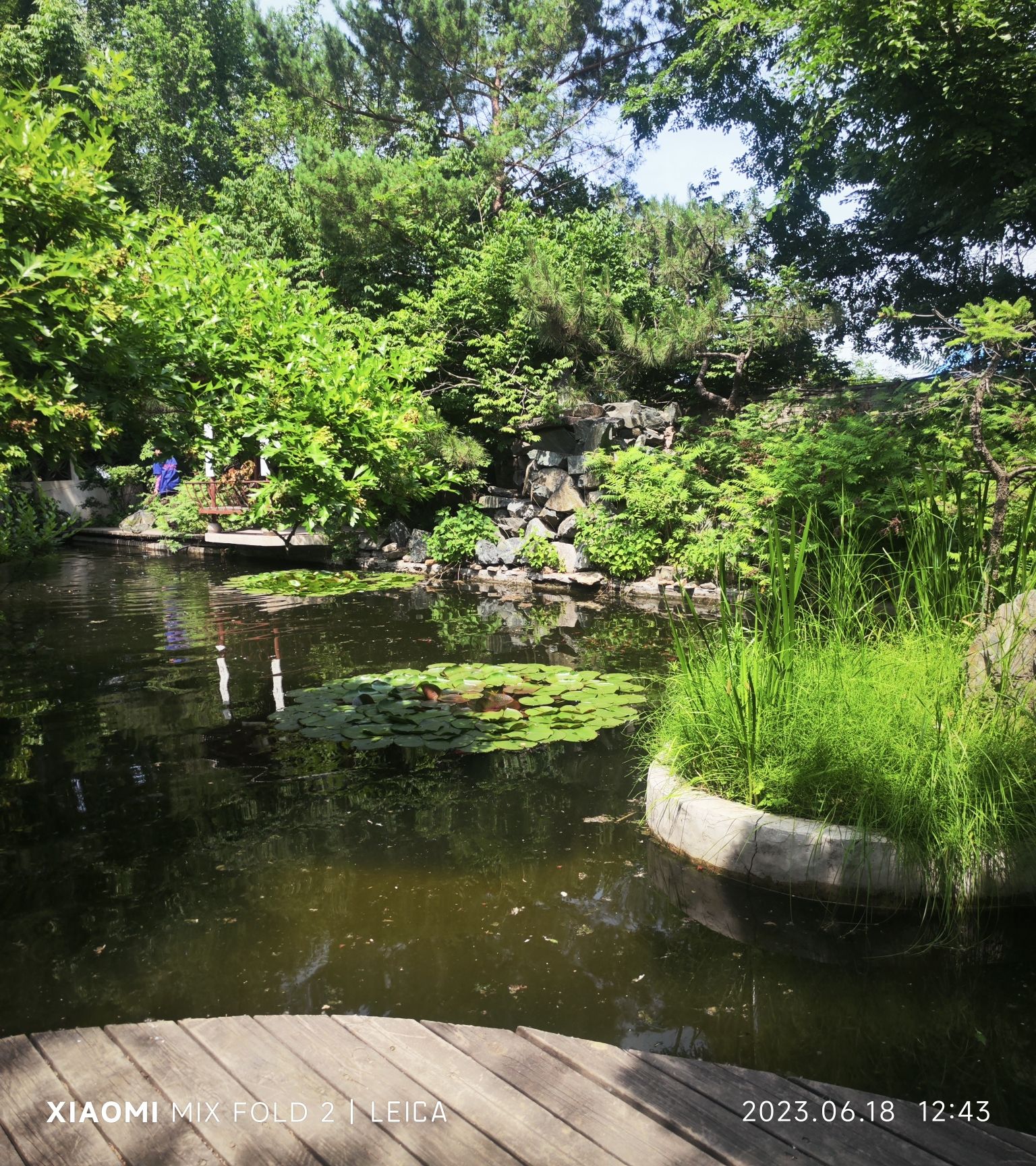 西郊山林休闲养生度假公园旅行图片 2