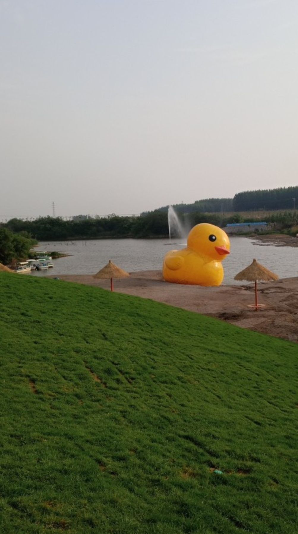 老道泉湿地公园旅行图片 3