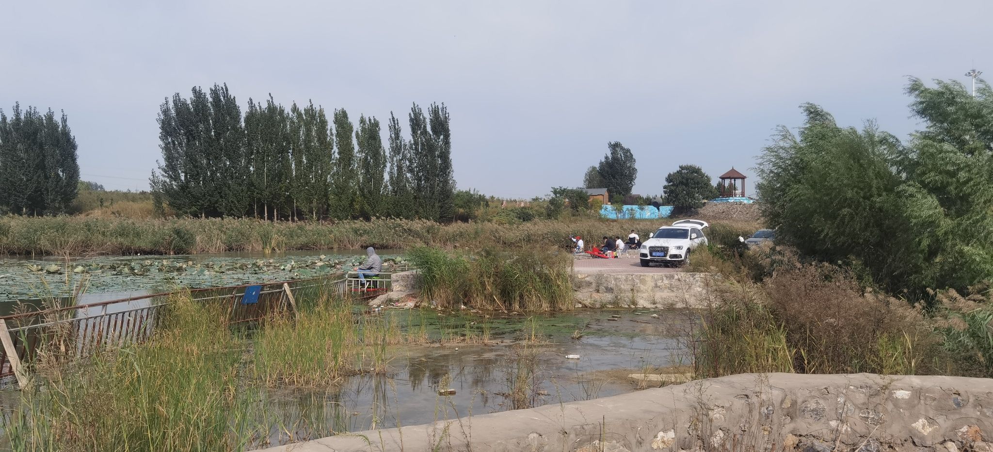 老道泉湿地公园旅行图片 3