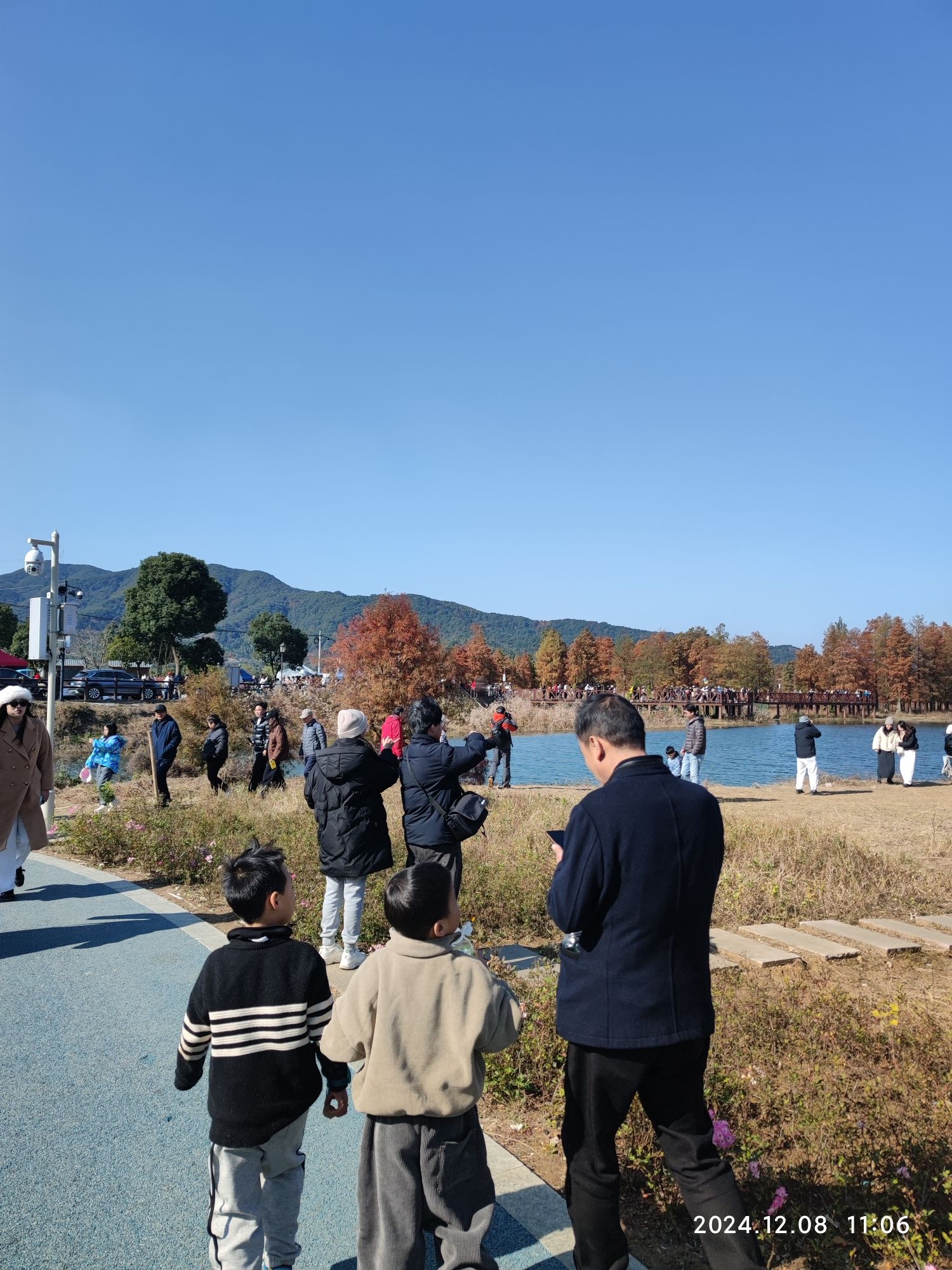 横路村湿地公园旅行图片 1