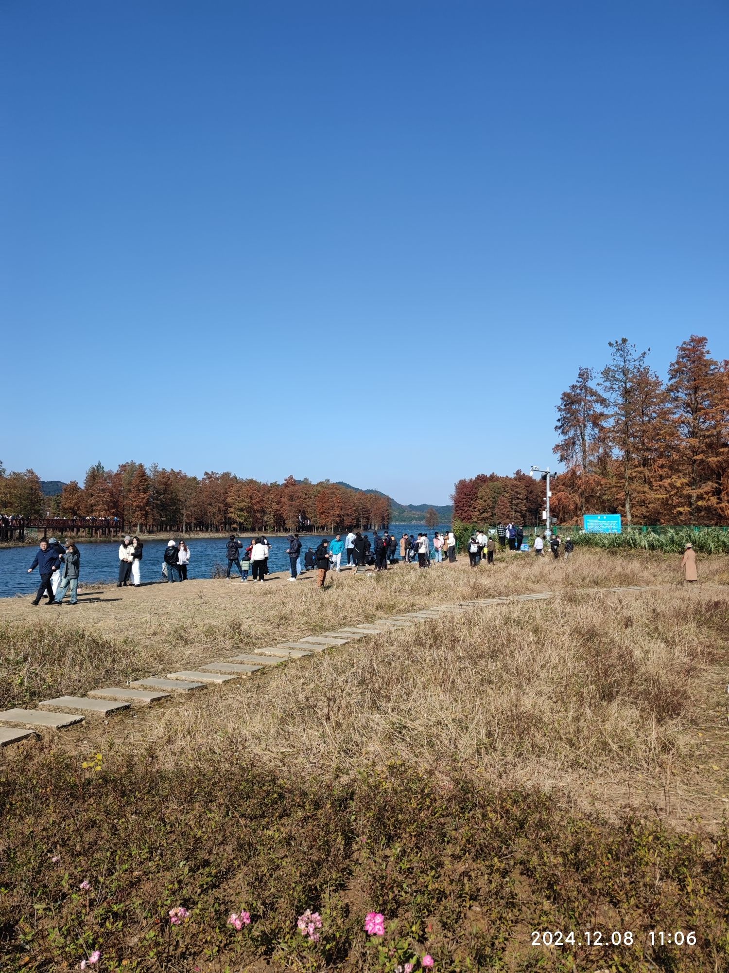横路村湿地公园旅行图片 2