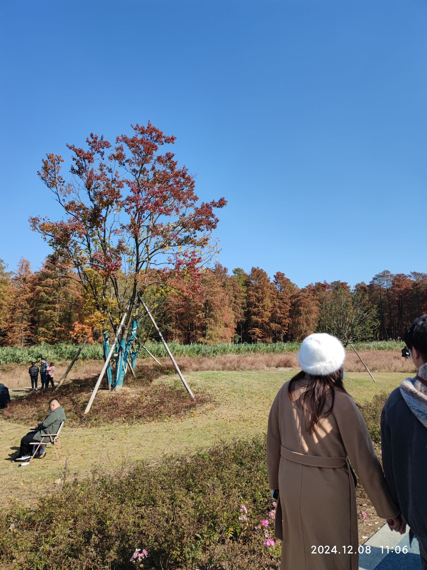 横路村湿地公园旅行图片 3