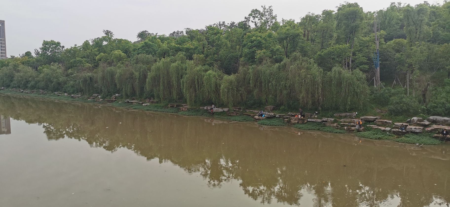 萍水湖湿地公园旅行图片 1