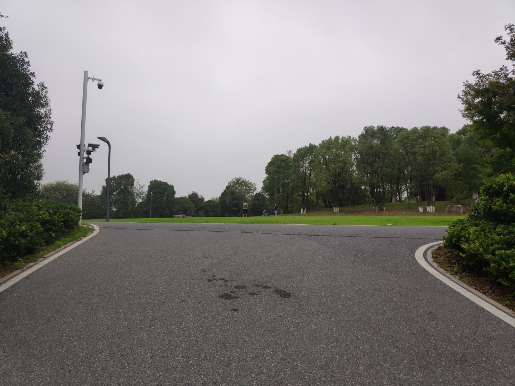 萍水湖湿地公园旅行图片 2