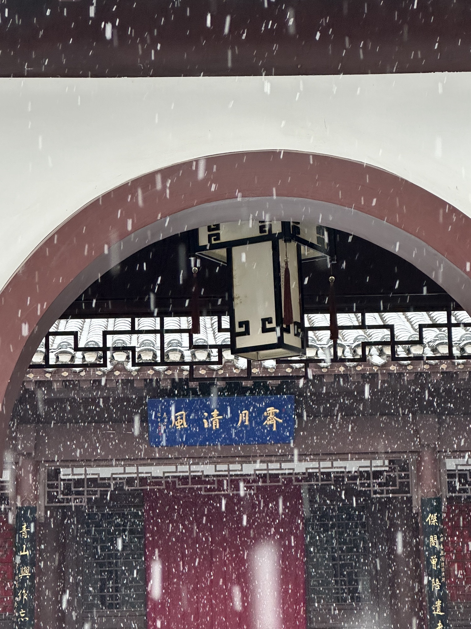 顾园旅行图片 1