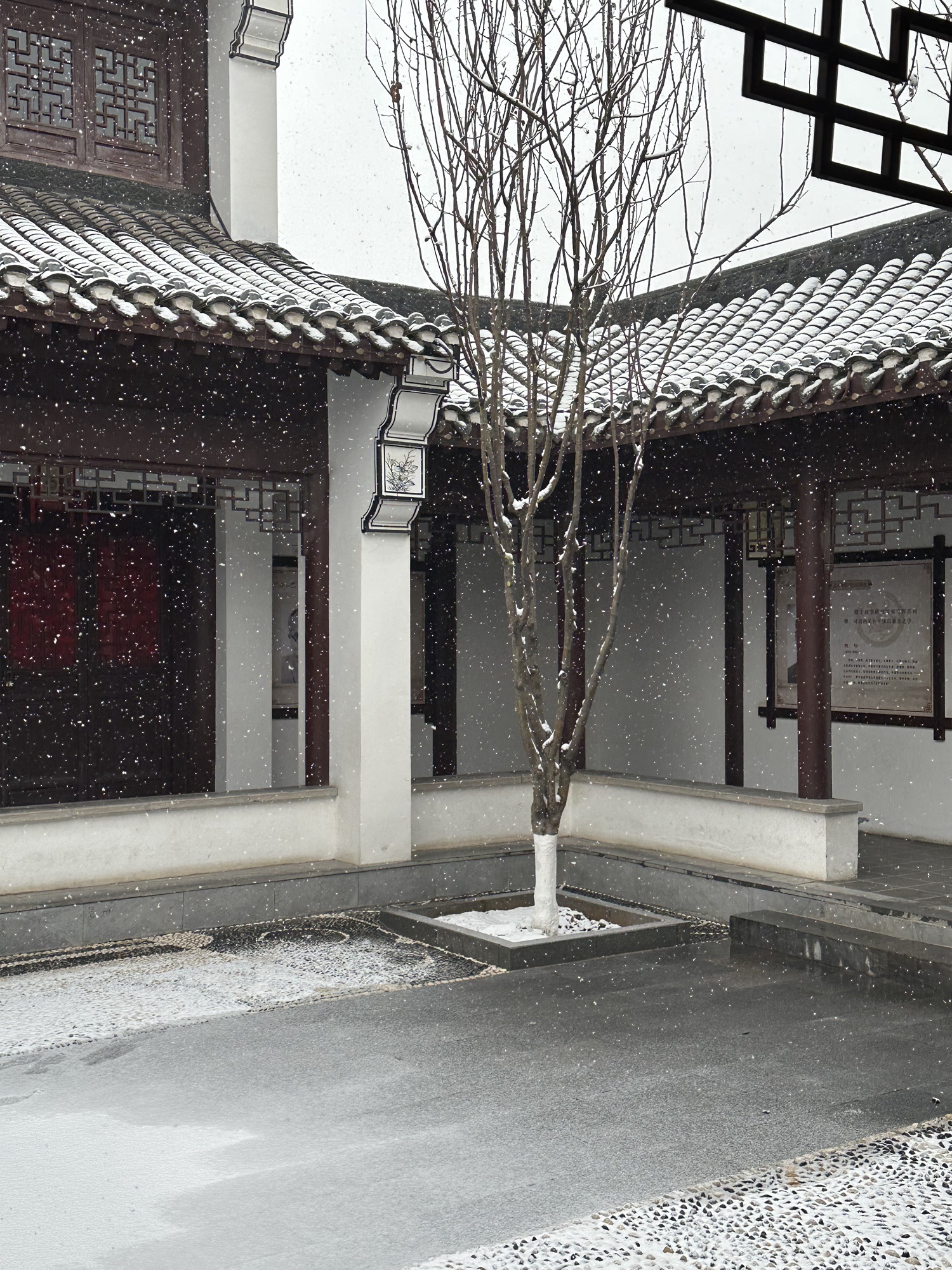 顾园旅行图片 2