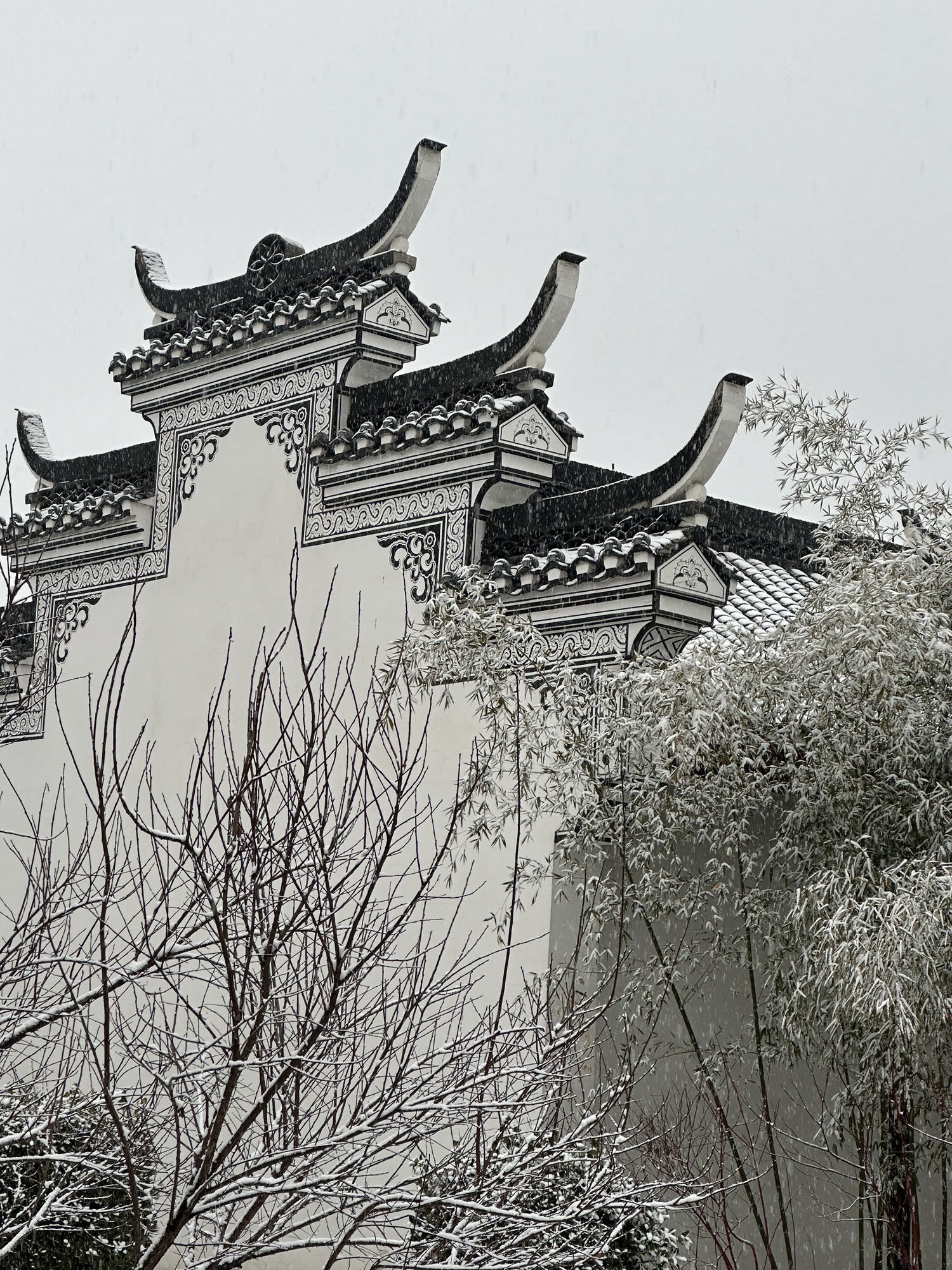 顾园旅行图片 2