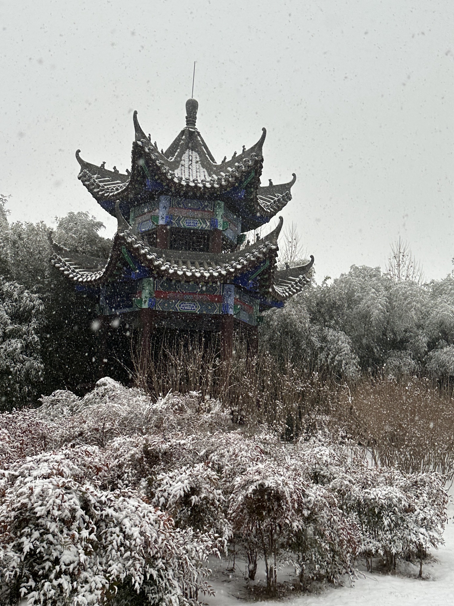 顾园旅行图片 1