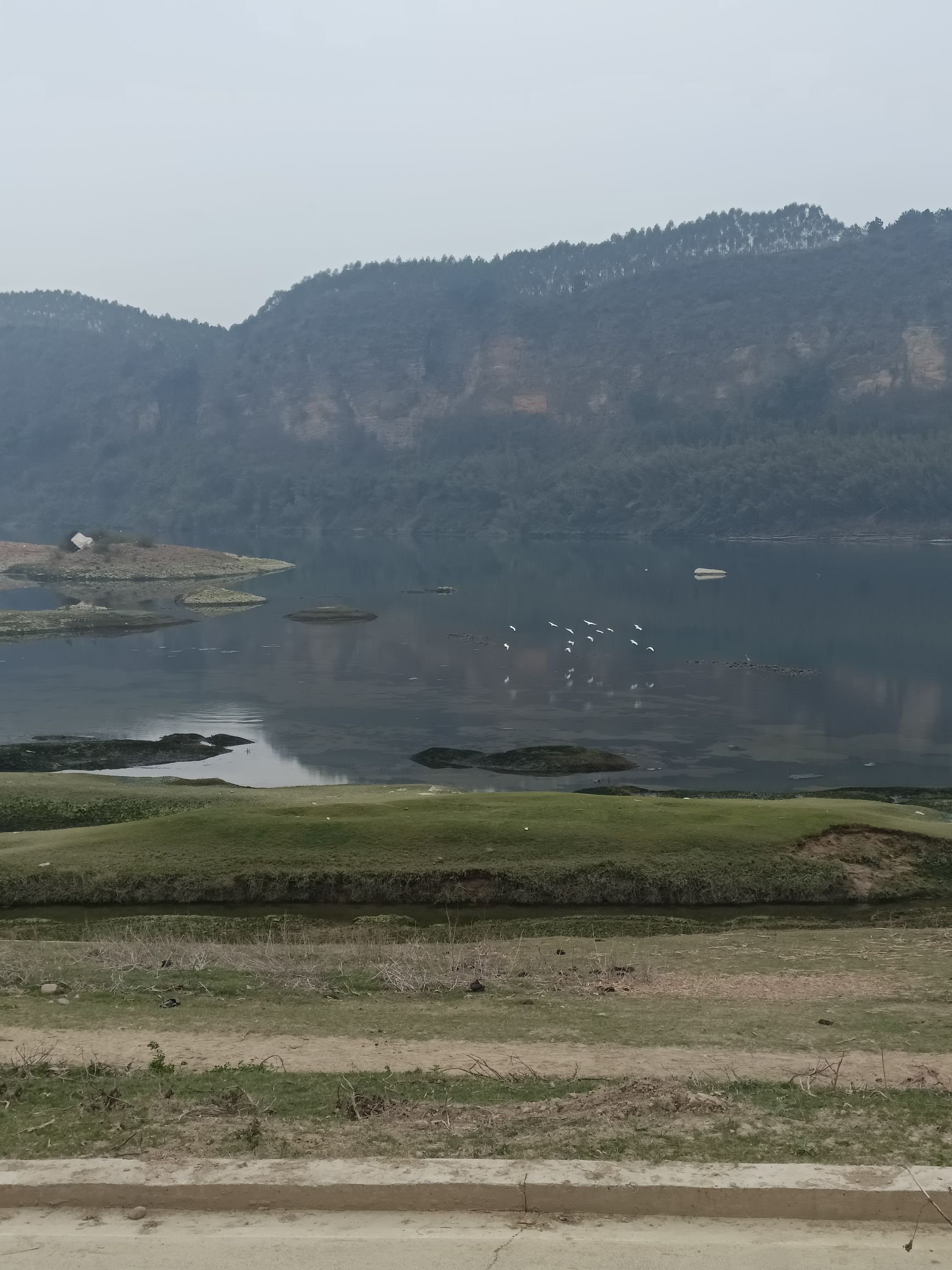 运江古镇旅行图片 3