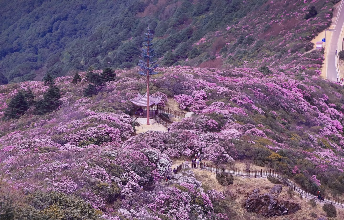 龙头山旅行图片 1