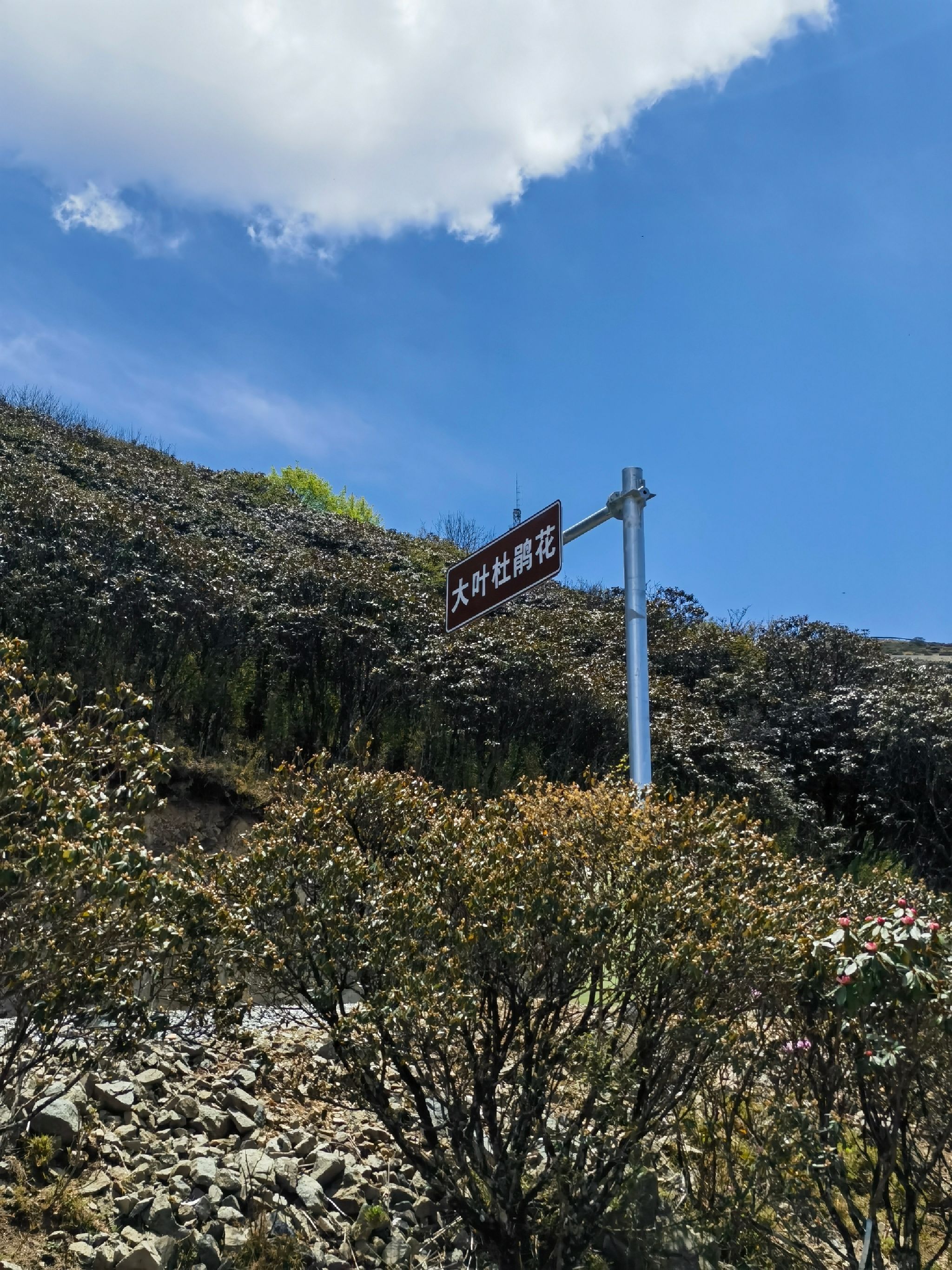 龙头山旅行图片 2