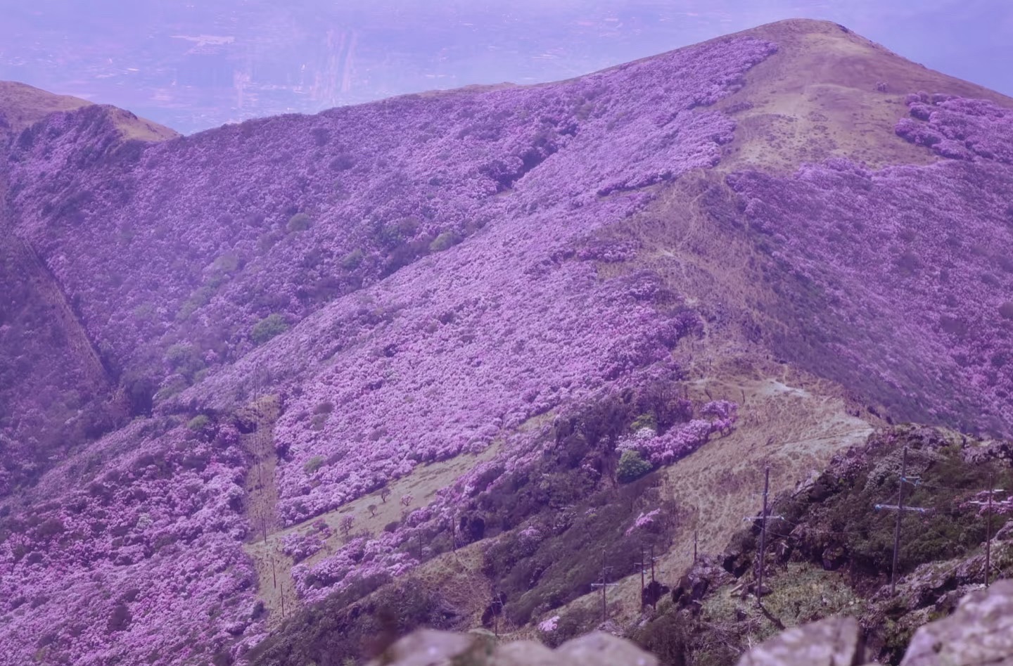 龙头山旅行图片 2