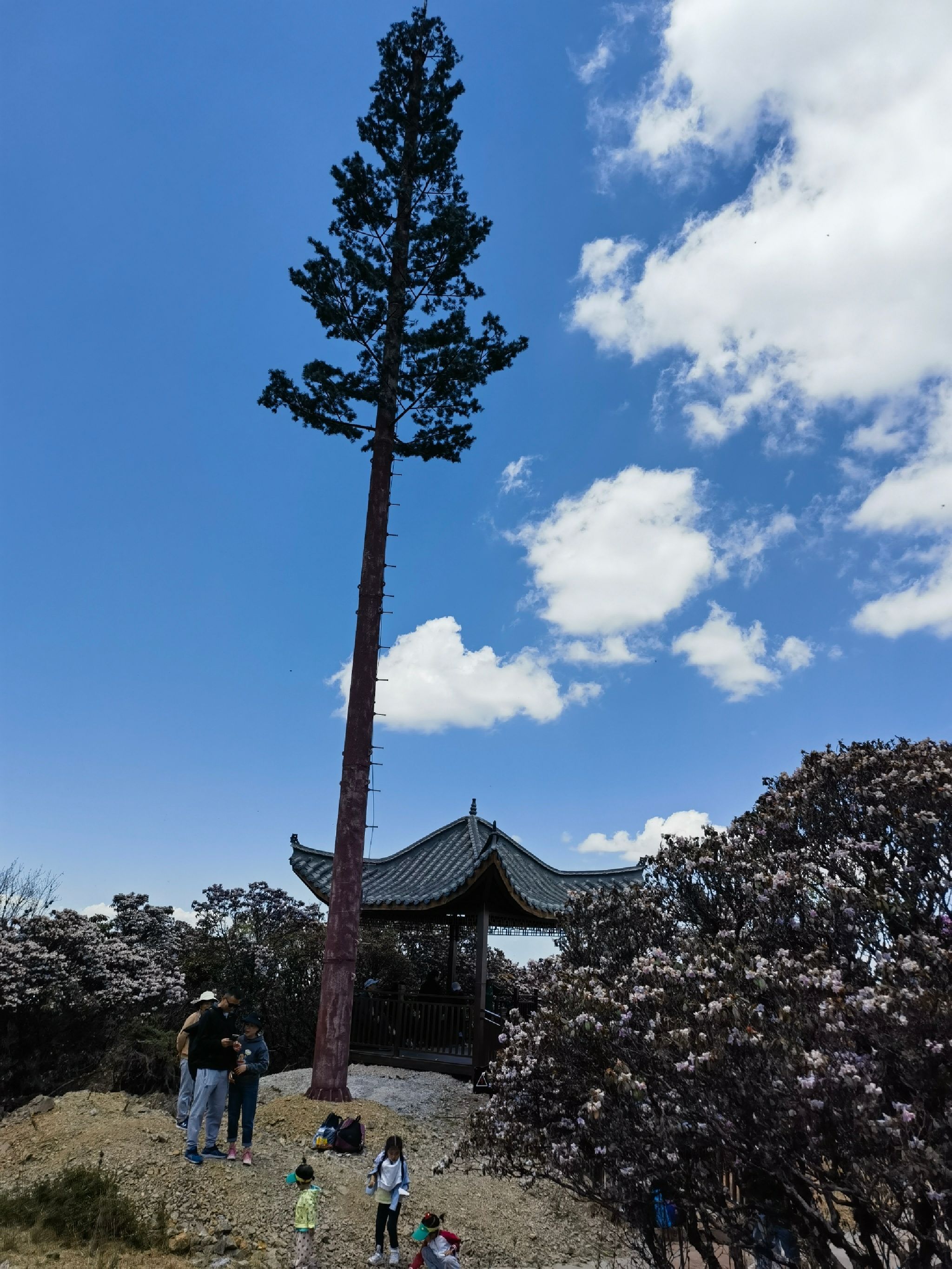 龙头山旅行图片 1