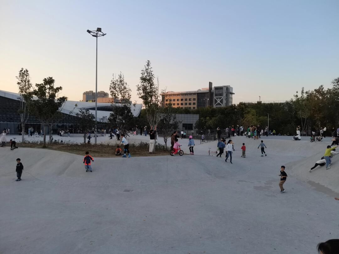 青少年公园旅行图片 2