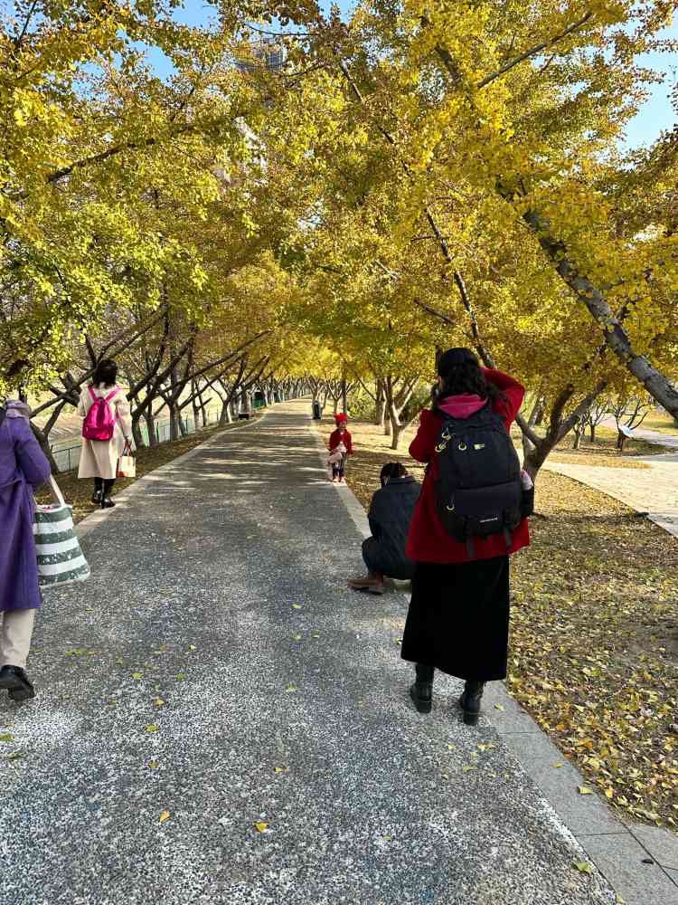 南水北调源头公园旅行图片 1