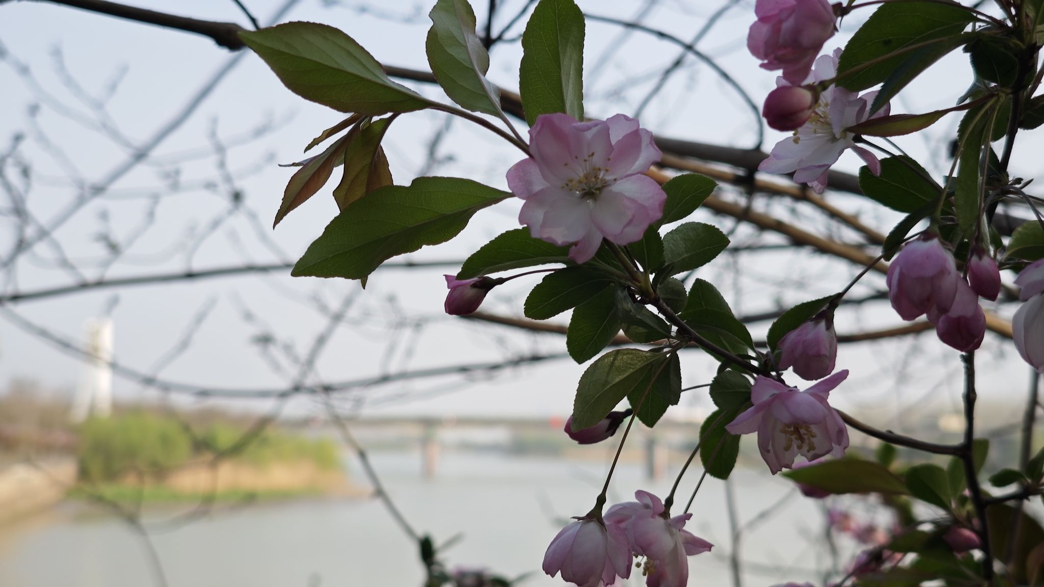 南水北调源头公园旅行图片 3