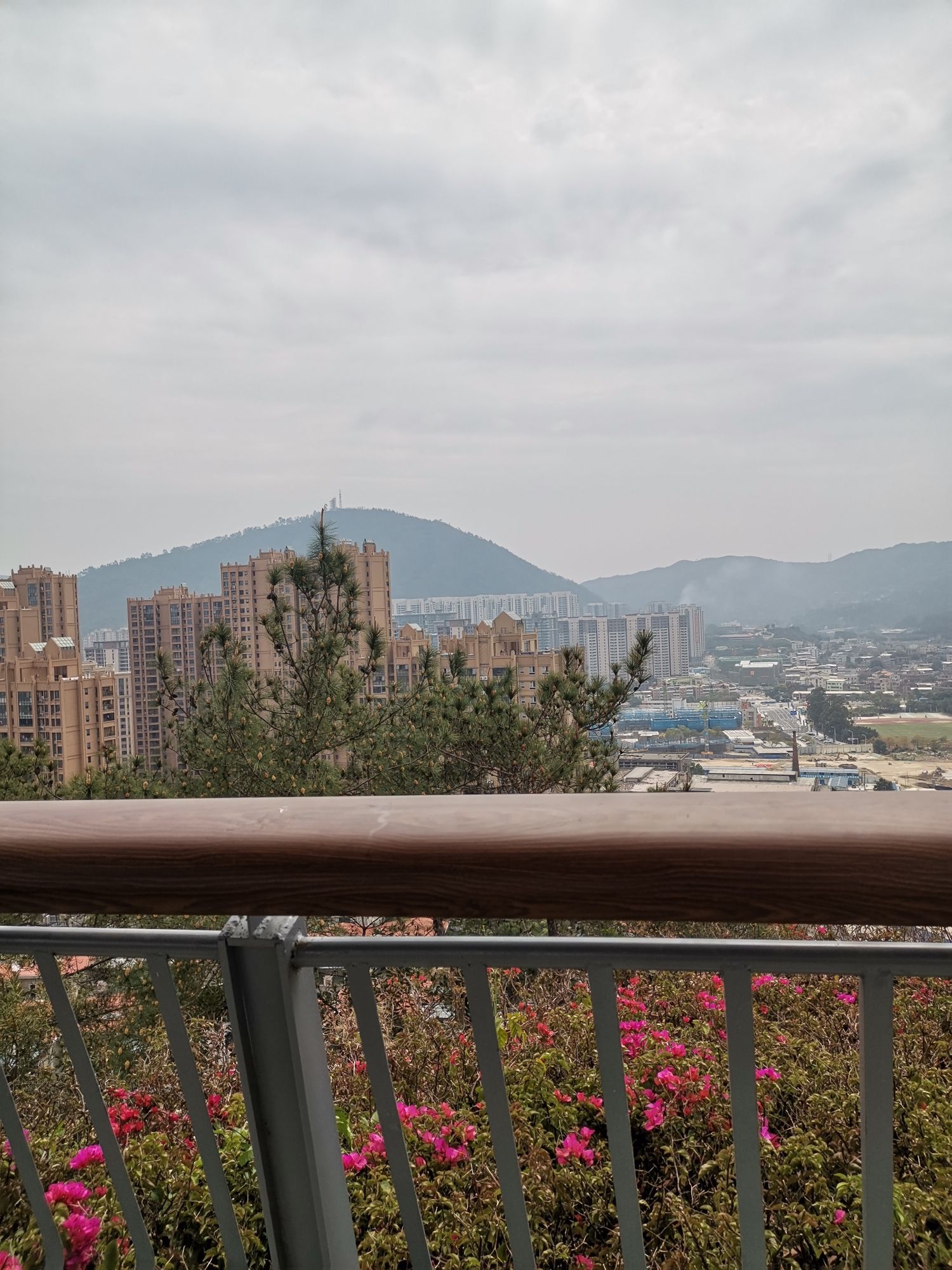 北山生态公园旅行图片 2