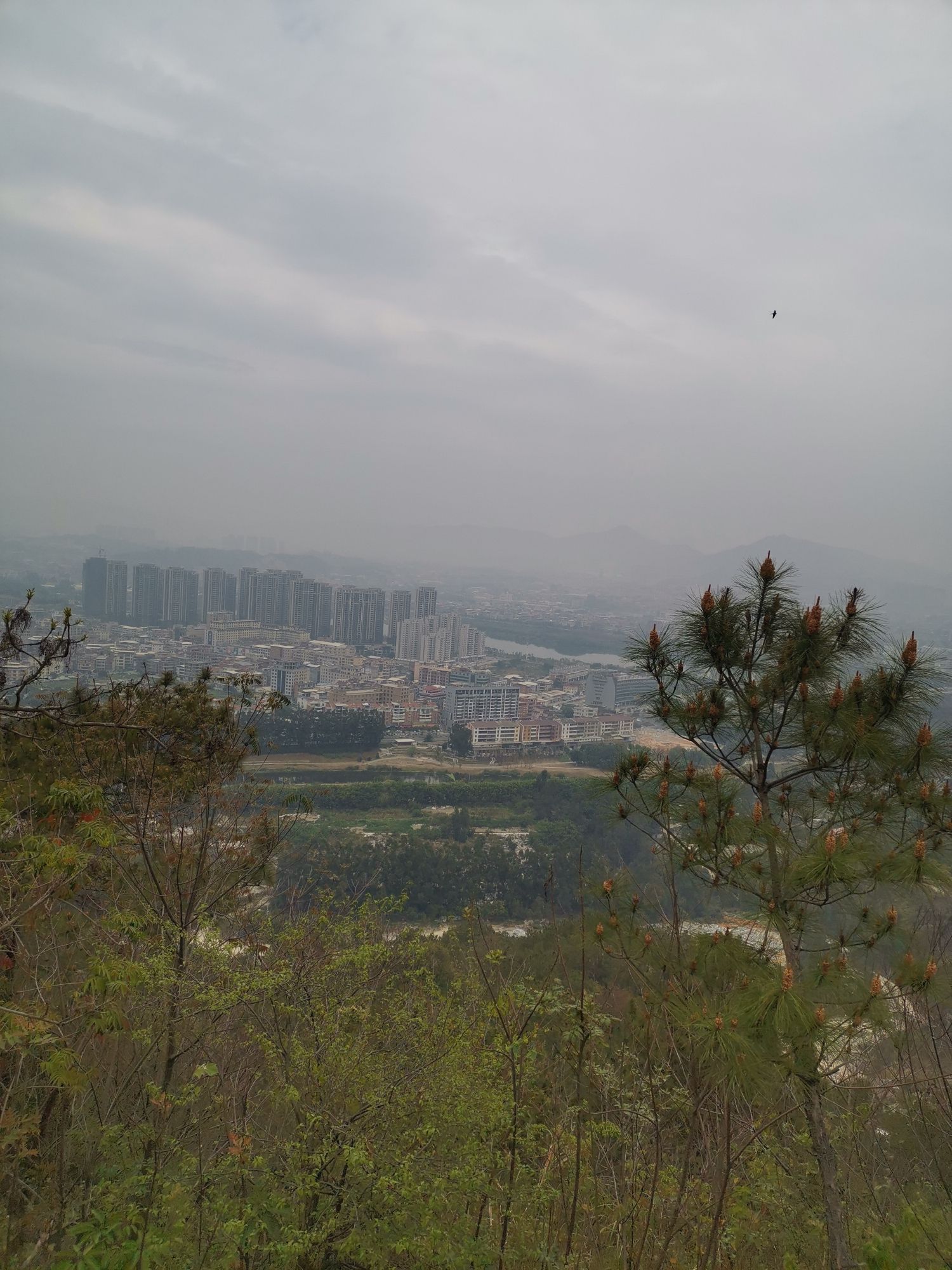 北山生态公园旅行图片 3