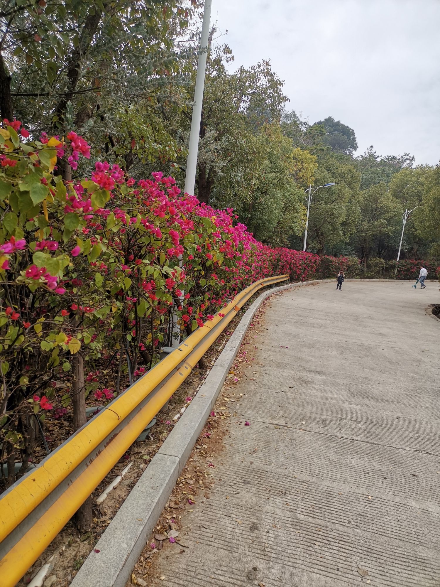 北山生态公园旅行图片