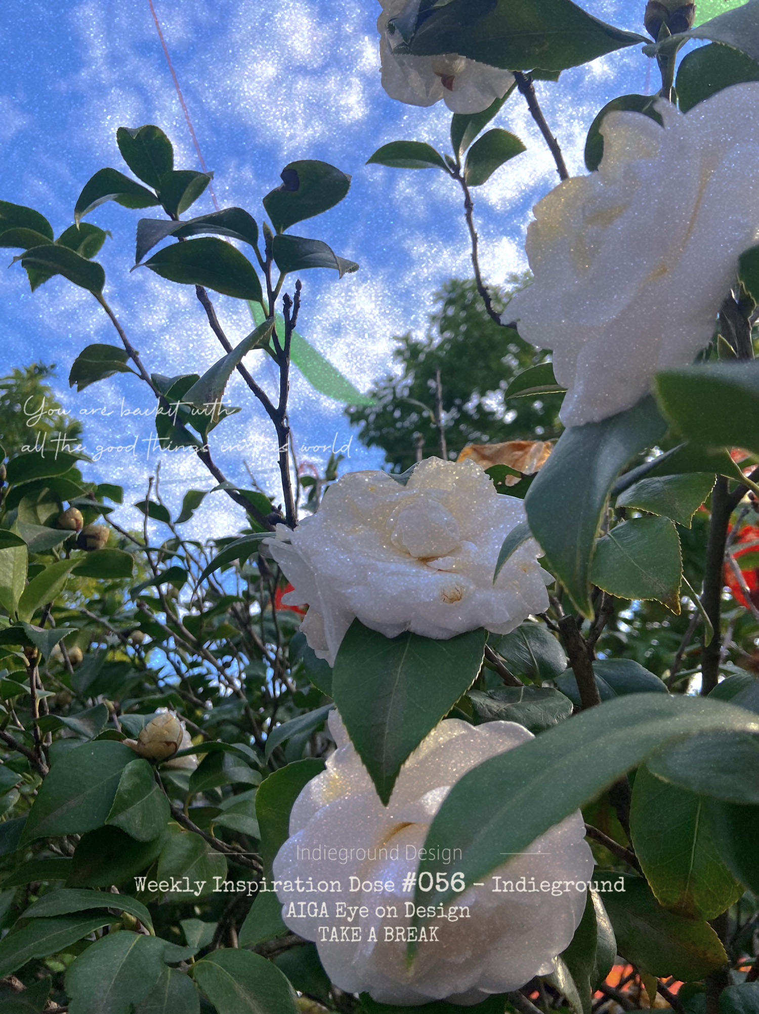 北山生态公园旅行图片 2