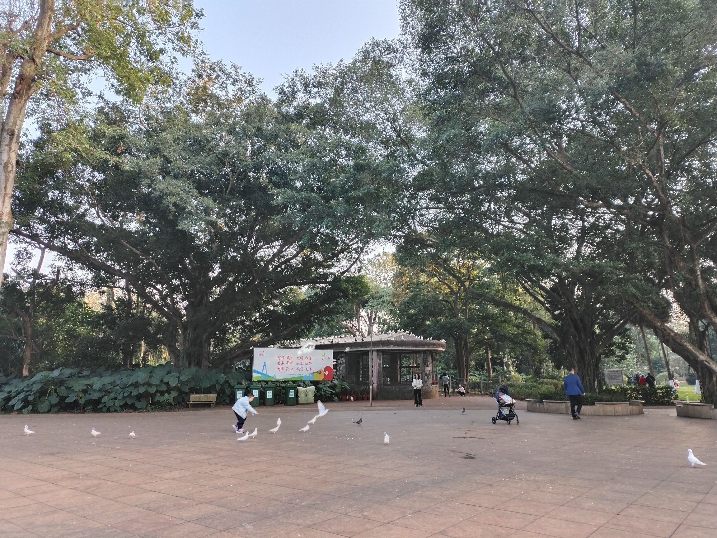 白鸽园