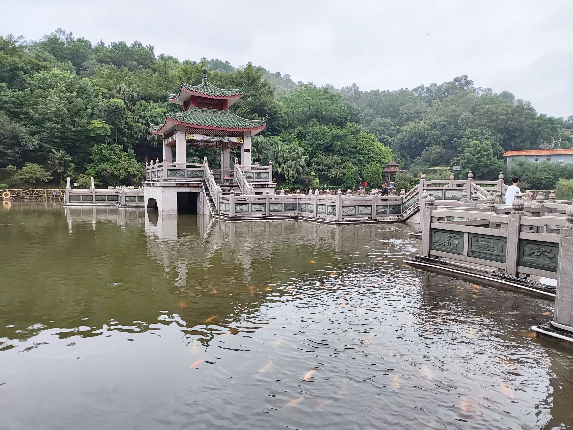 九曲桥旅行图片 2