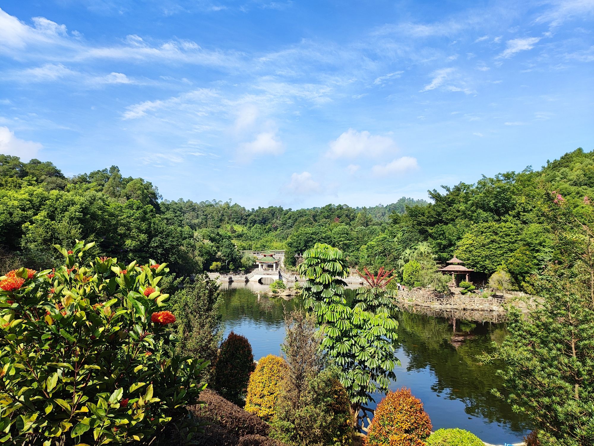 九曲桥旅行图片 1