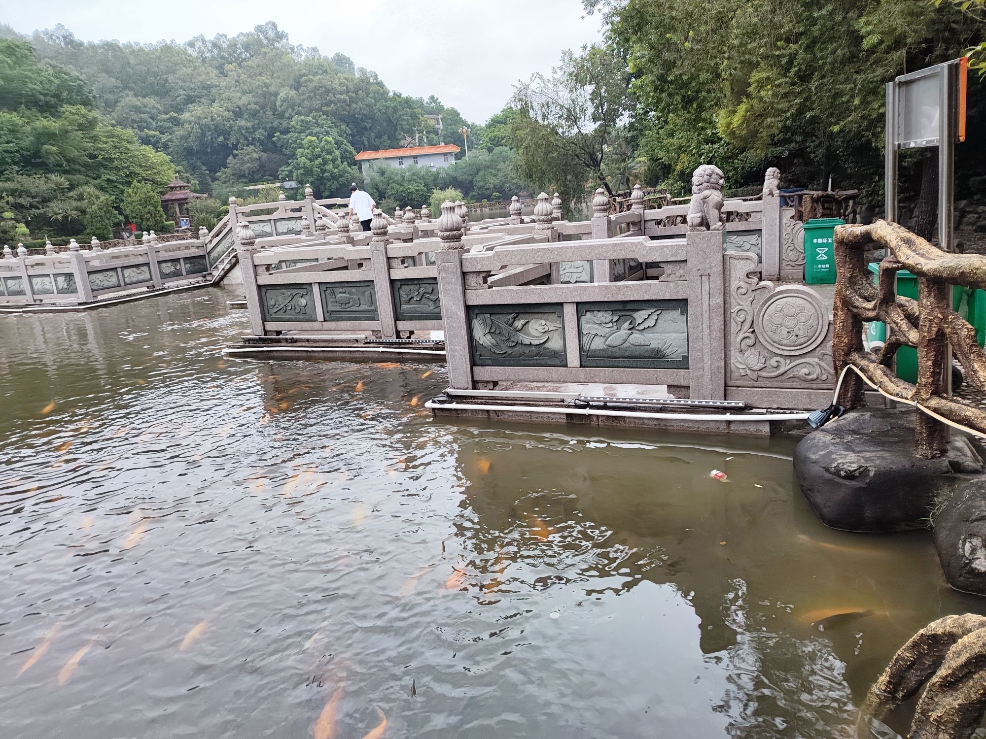 九曲桥旅行图片 3