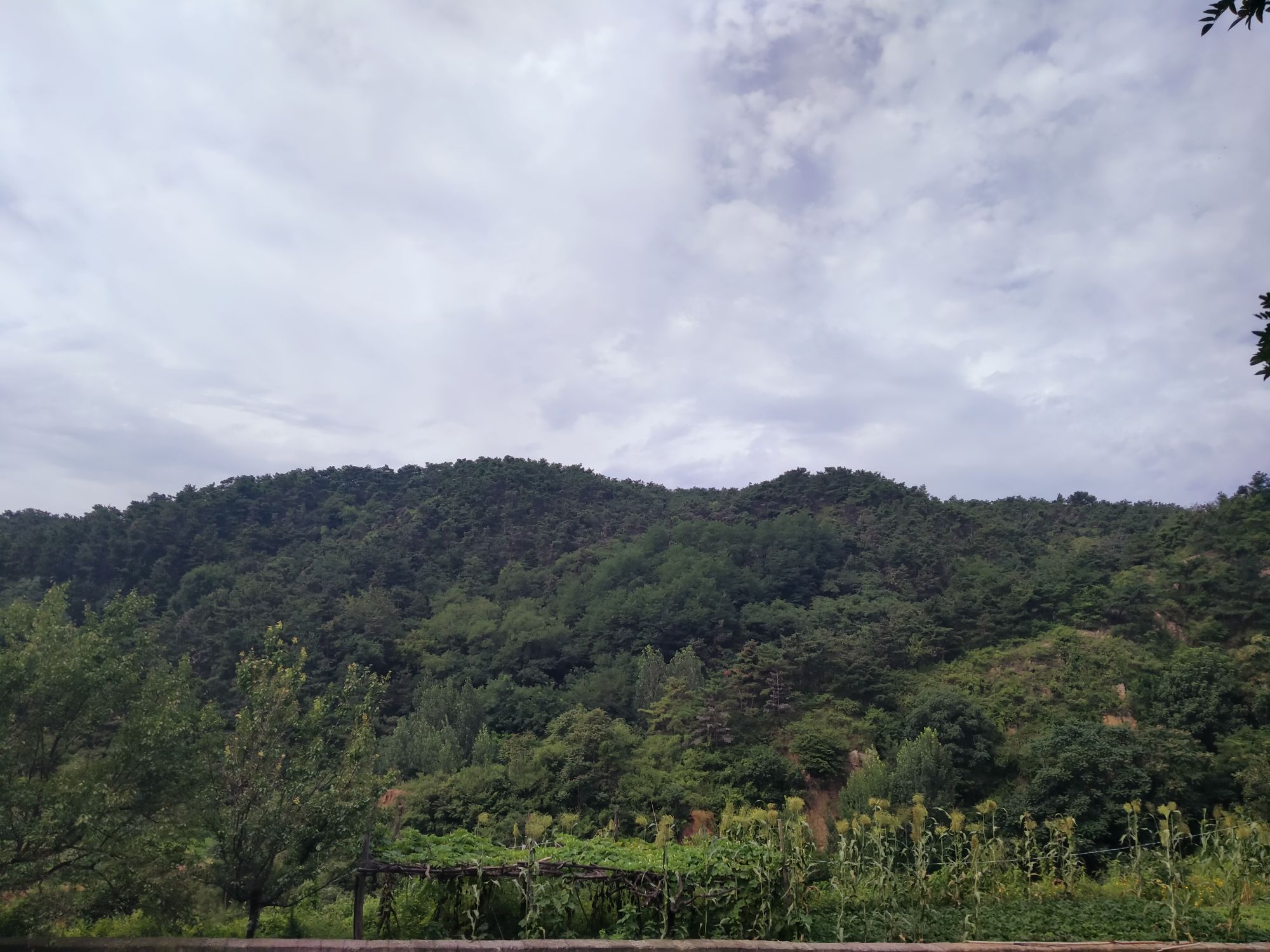 野人谷旅行图片 2