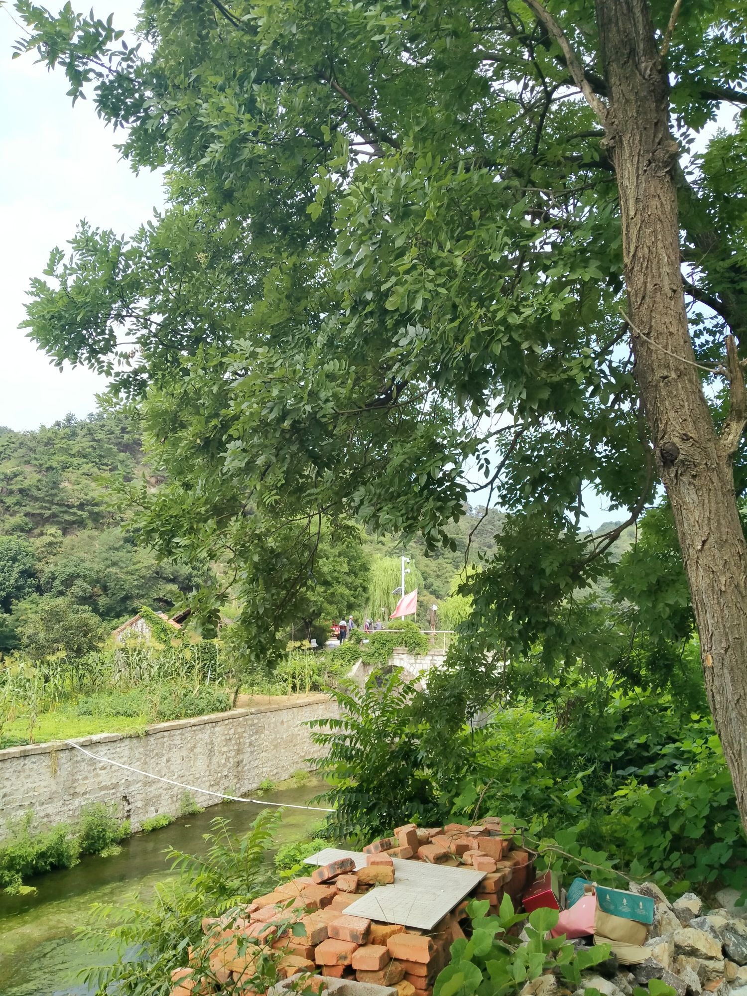 野人谷旅行图片 1